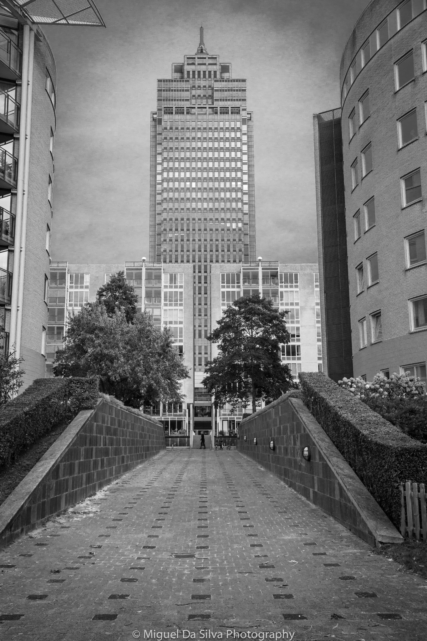 Sony Alpha DSLR-A900 sample photo. Philips tower in amsterdam city photography