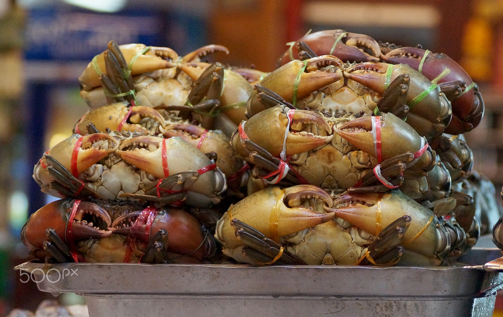 Sony DT 55-200mm F4-5.6 SAM sample photo. Crabs photography