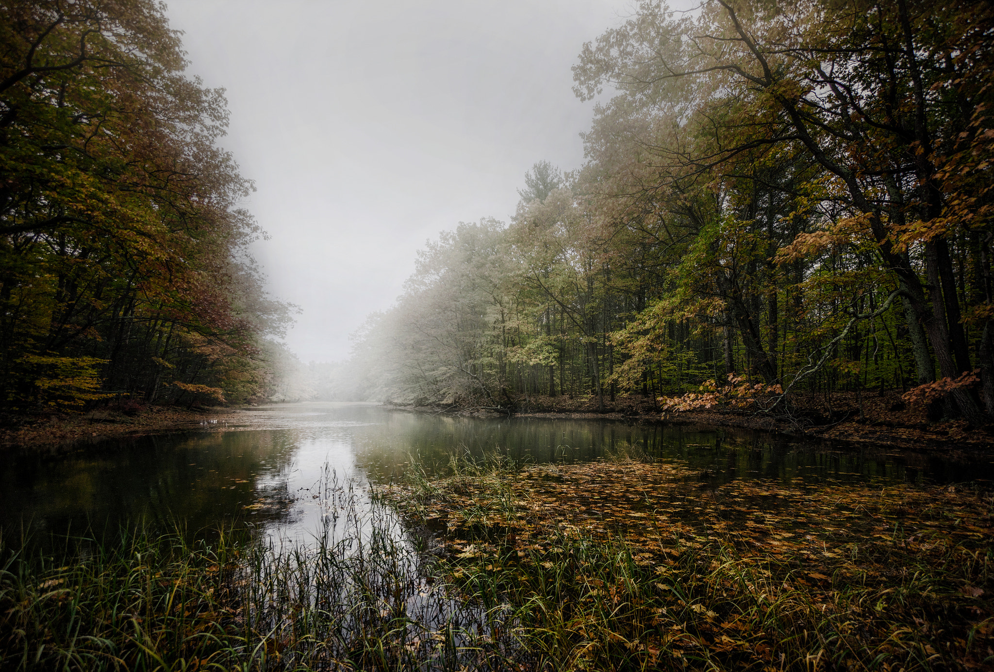 Sony a7R + Sony E 10-18mm F4 OSS sample photo. Into the mist photography