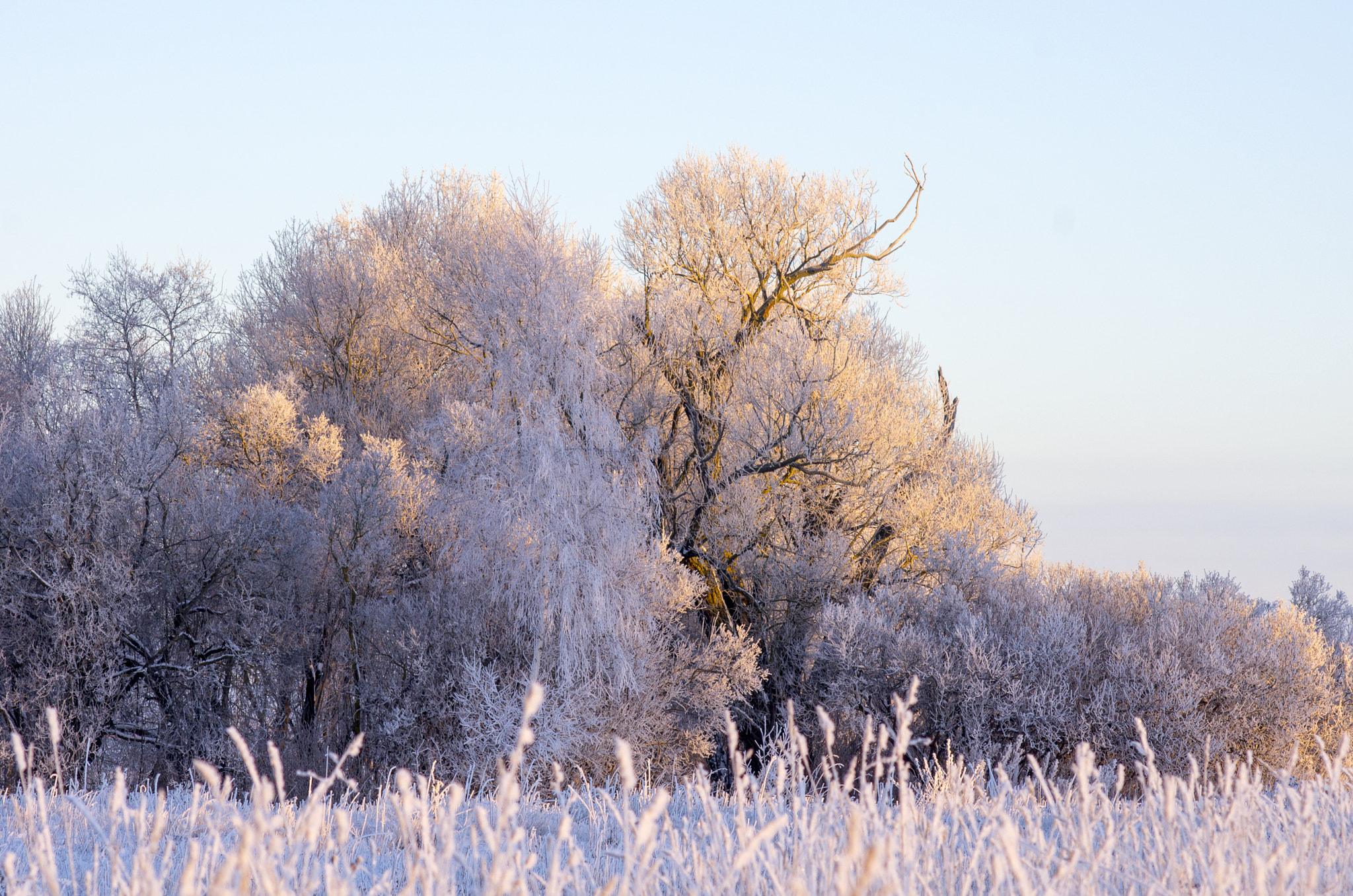 Pentax K-5 sample photo. Winter photography