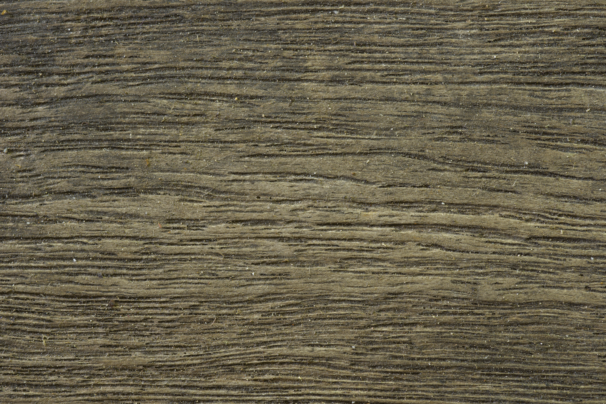 Nikon D800 + Nikon AF Micro-Nikkor 60mm F2.8D sample photo. Weathered wood grain texture. photography