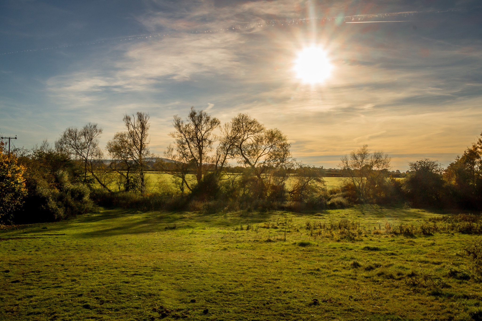 Canon EOS 100D (EOS Rebel SL1 / EOS Kiss X7) sample photo. Autumn sunshine photography