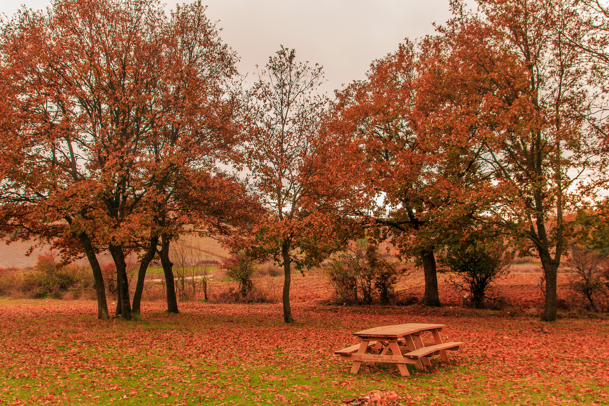 Tamron SP AF 17-50mm F2.8 XR Di II LD Aspherical (IF) sample photo. Autumn photography