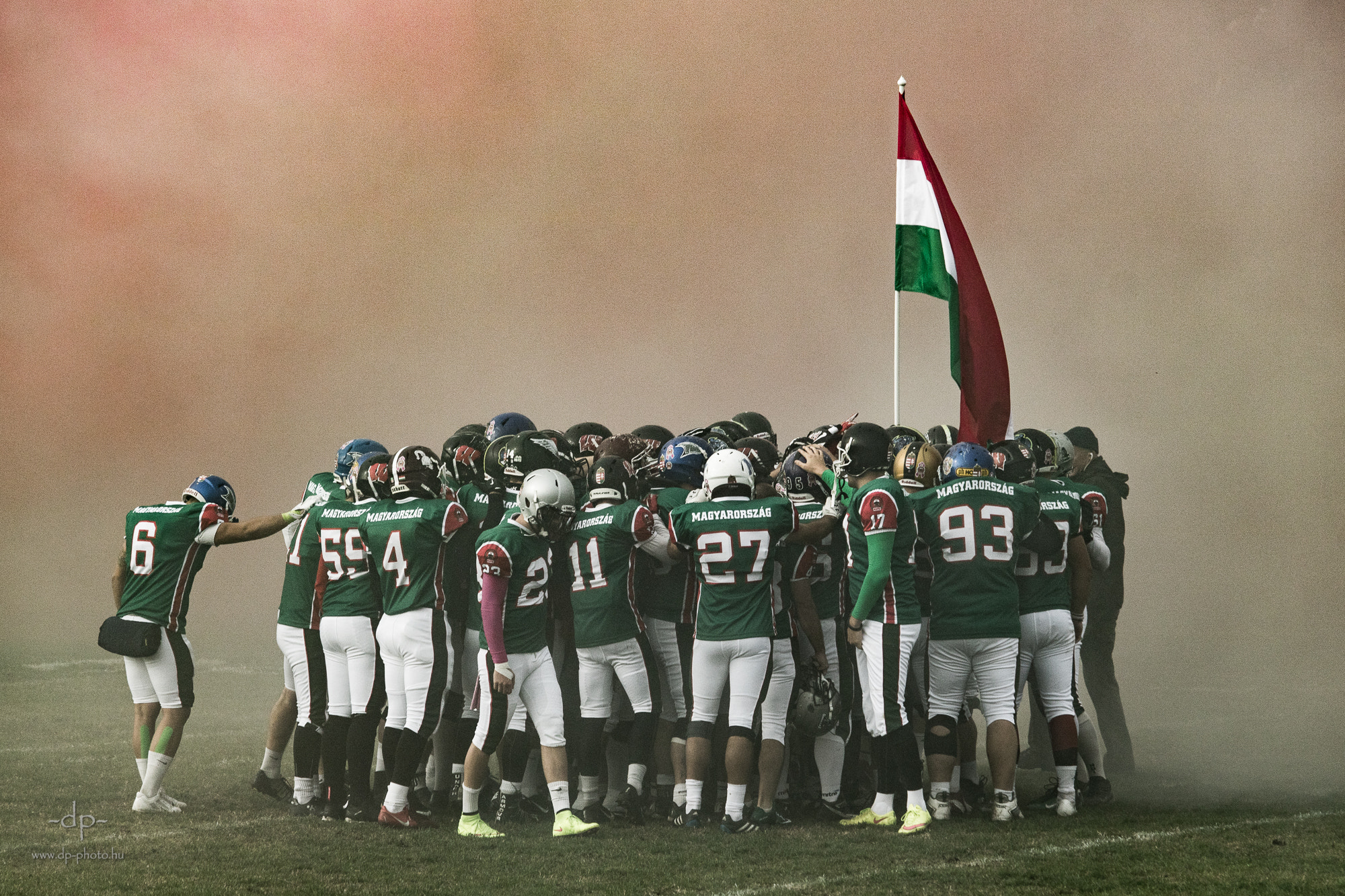 Canon EF-S 55-250mm F4-5.6 IS STM sample photo. Ready for the game photography