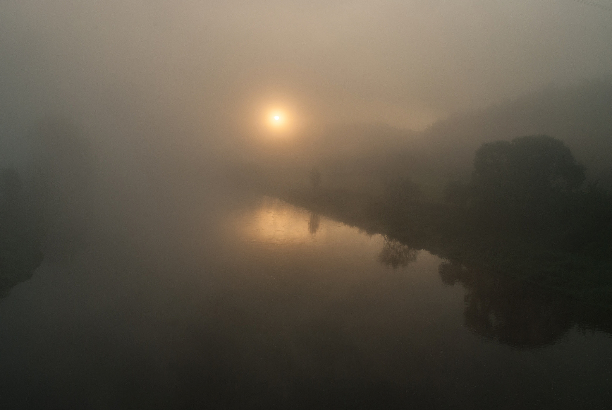 Nikon D3000 sample photo. Morning fog over the river photography