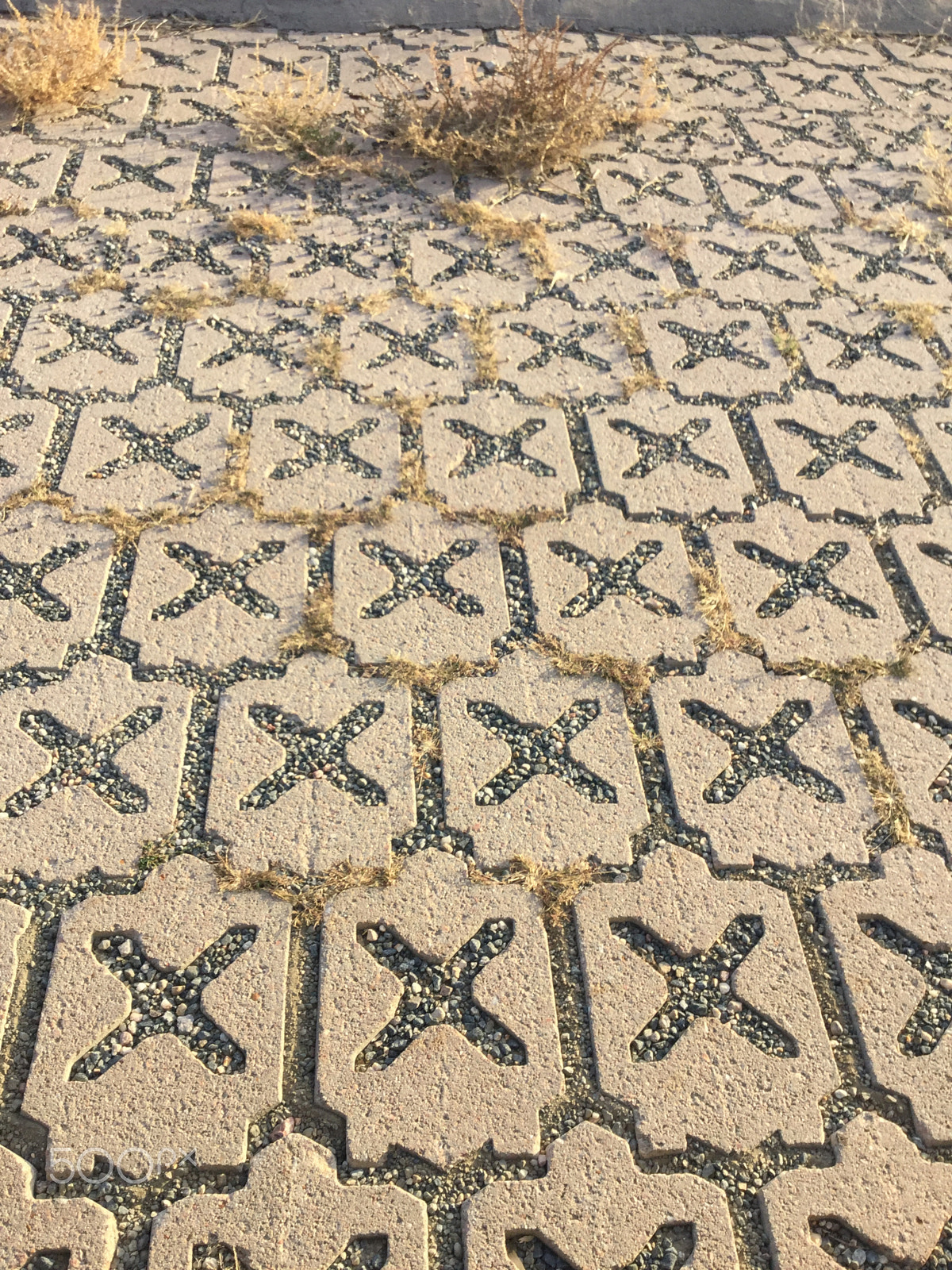 Apple iPad5,3 sample photo. X marks the spot photography