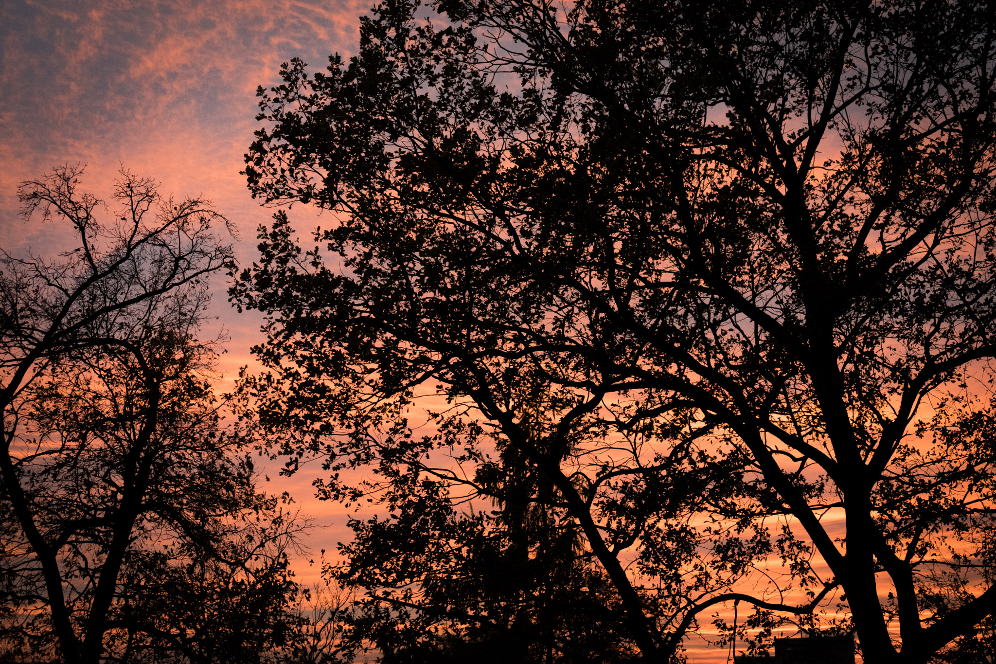 Sony FE 70-300mm F4.5-5.6 G OSS sample photo. Sunset in krakow photography