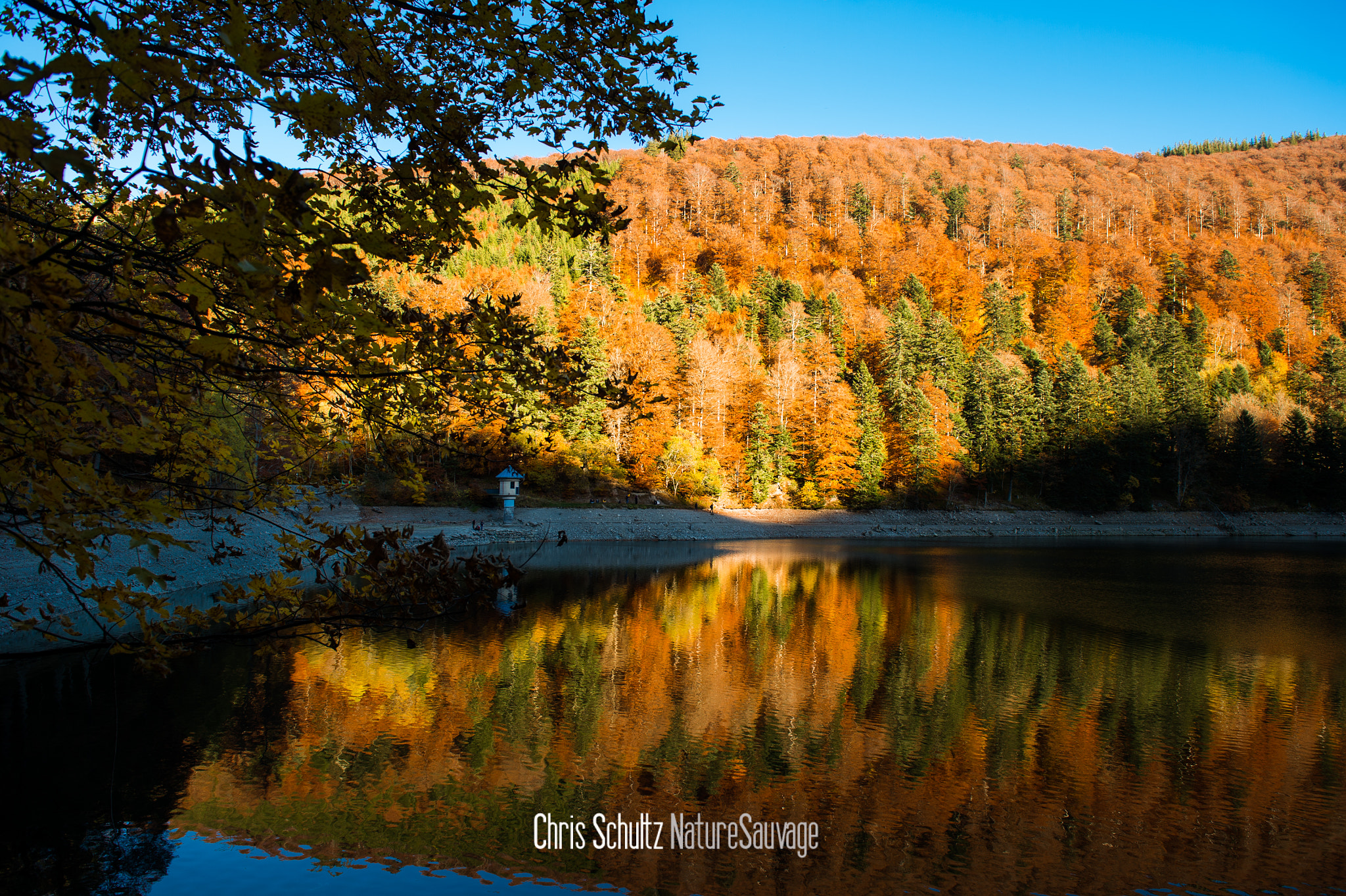 Nikon Df sample photo. Colors of autumn photography