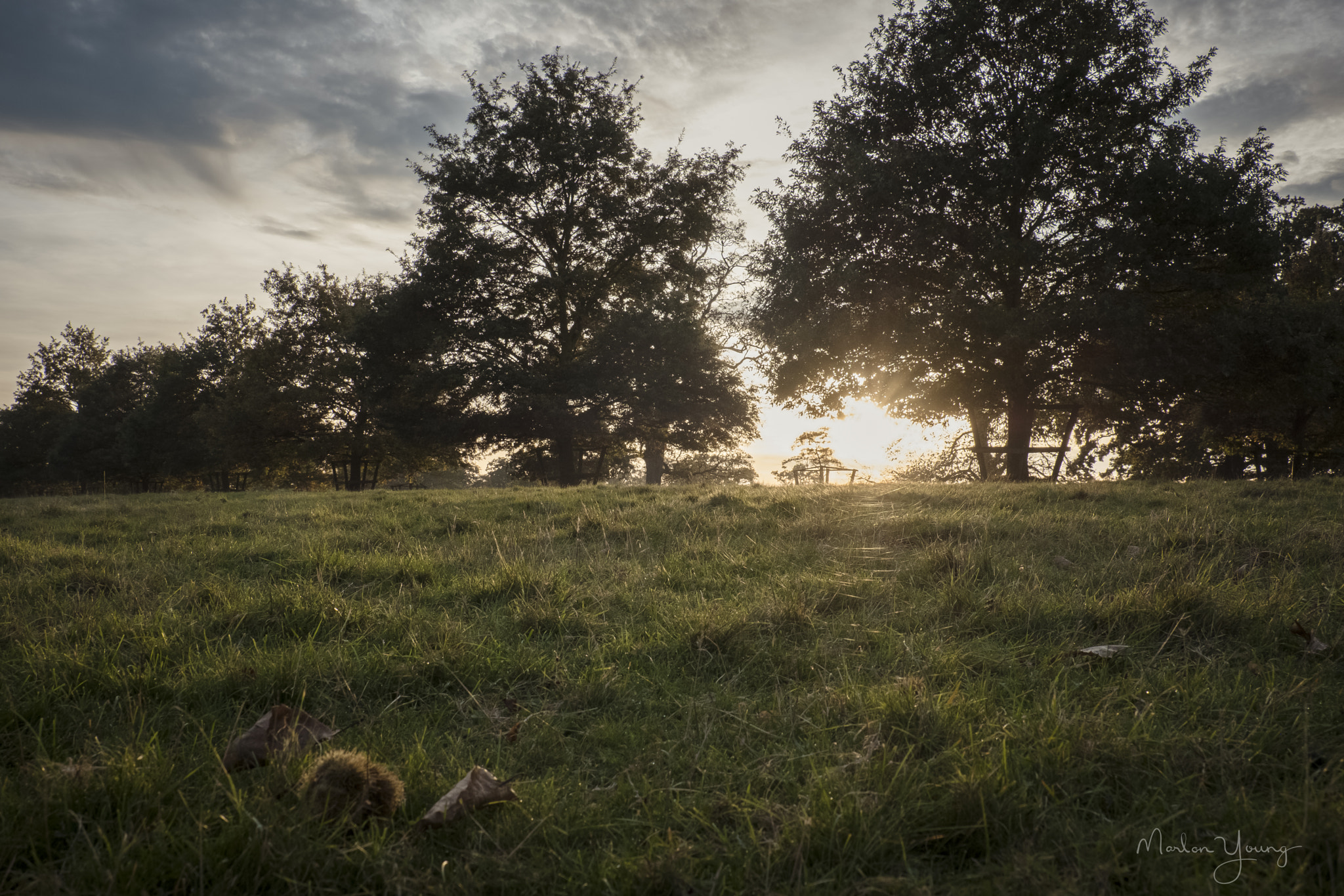 Fujifilm X-Pro2 + Fujifilm XF 18-135mm F3.5-5.6 R LM OIS WR sample photo. Autumn is here... photography