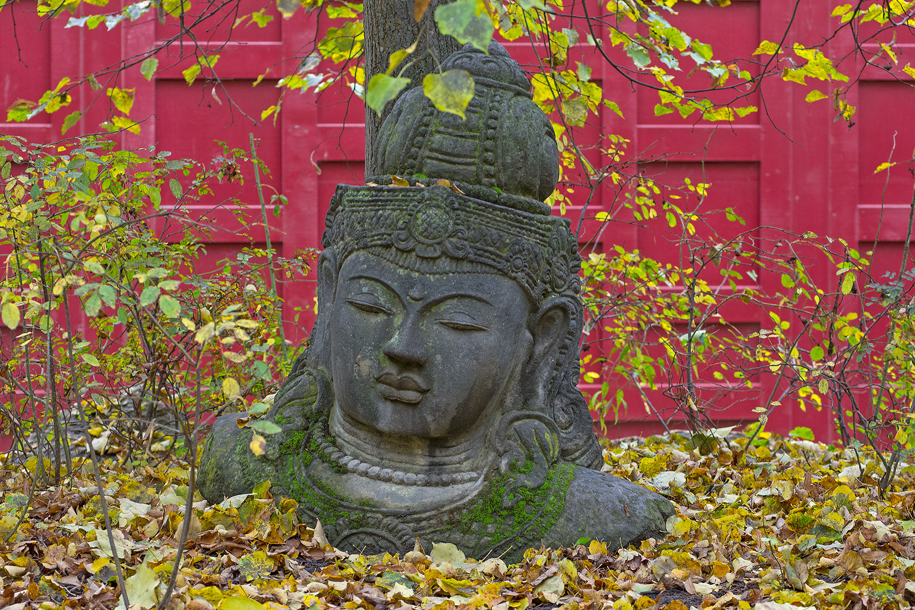 Pentax smc DA* 50-135mm F2.8 ED (IF) SDM sample photo. Herbststimmung im park photography