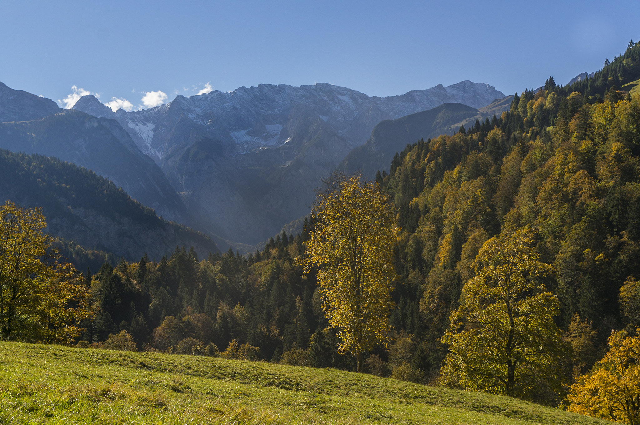 Sony Alpha NEX-6 + Sony E 35mm F1.8 OSS sample photo. Autumn walk i photography