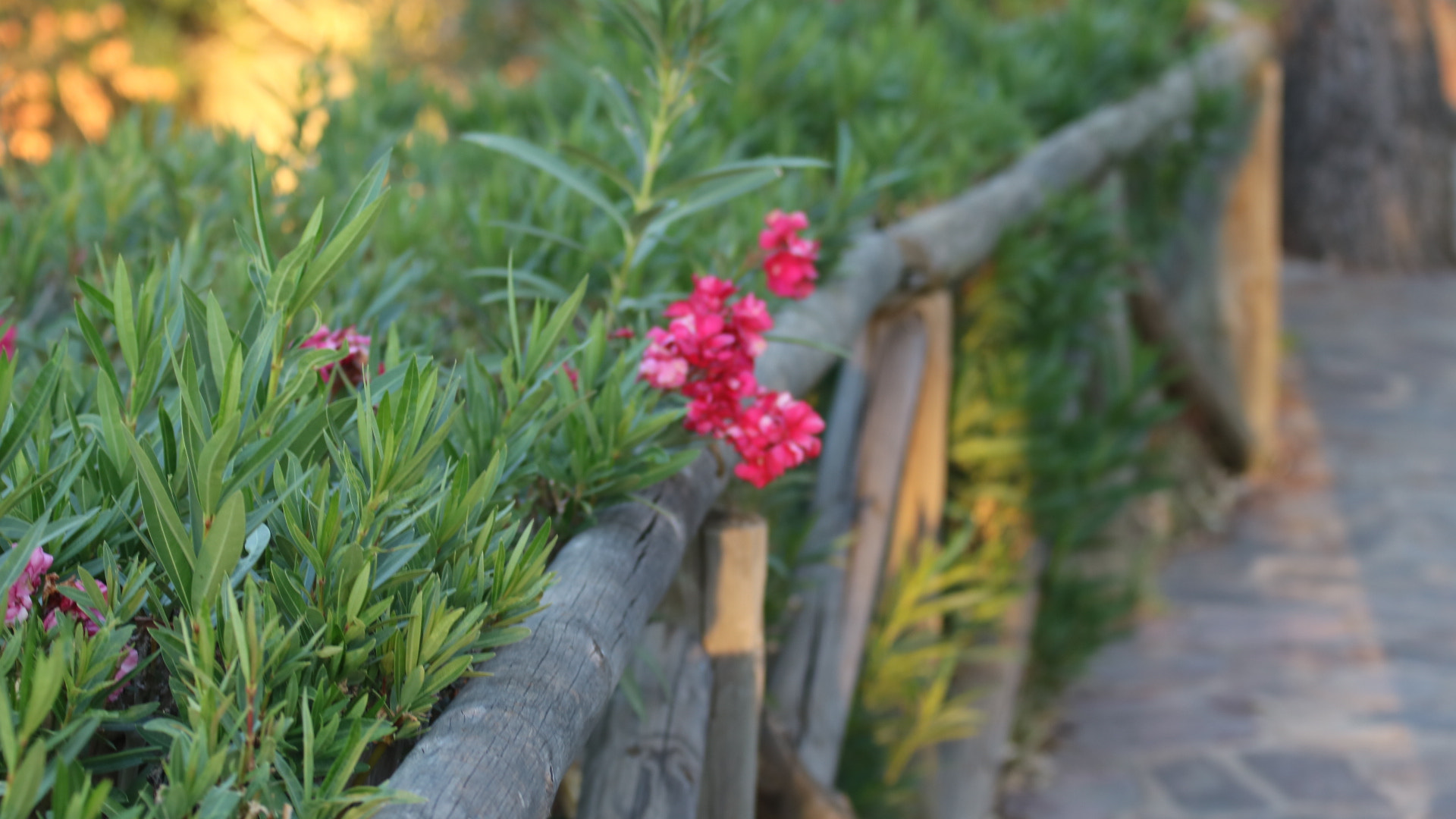 Canon EF 70-200mm F2.8L USM sample photo