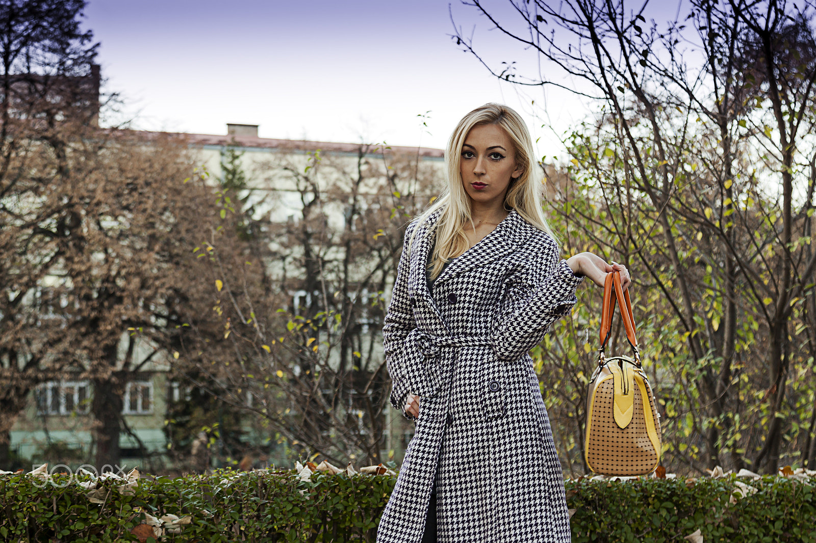 Canon EOS 500D (EOS Rebel T1i / EOS Kiss X3) sample photo. Lady with bag photography