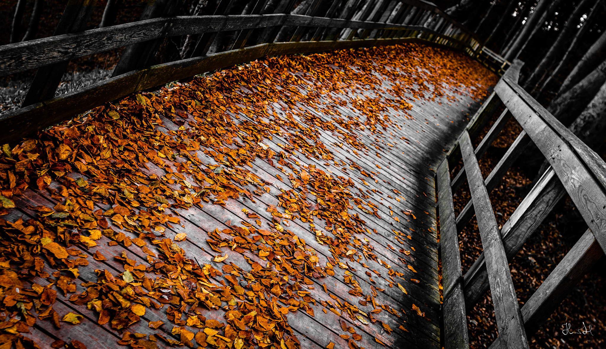 Canon EF 24mm f/1.4L sample photo. Stairway to heaven... photography