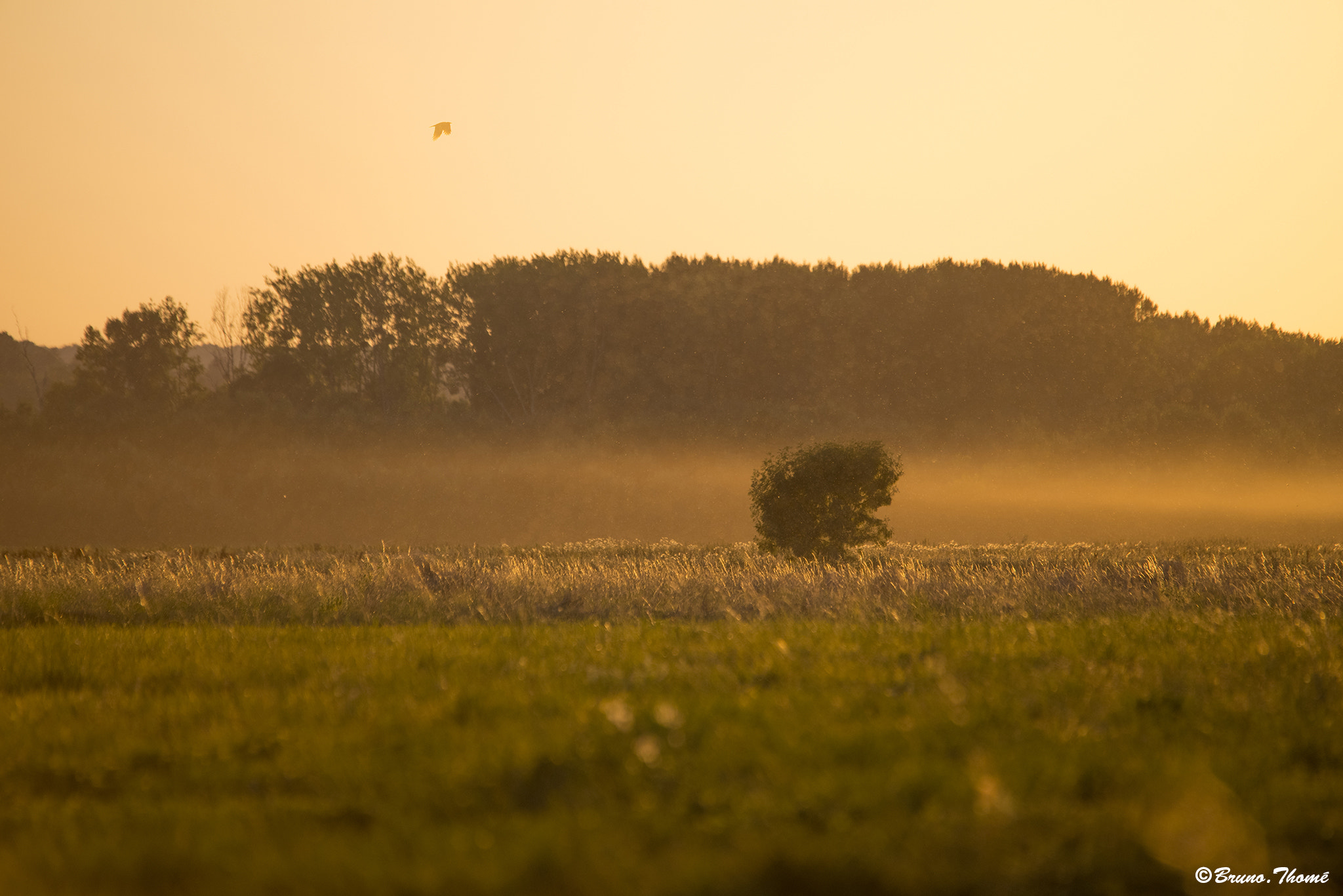 Pentax K-1 sample photo. Golden hour photography