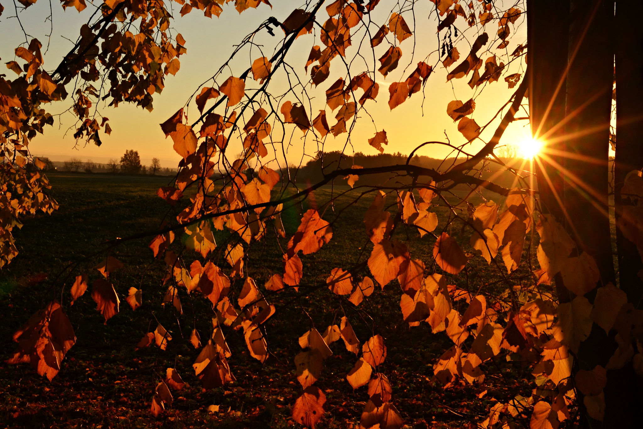 Nikon D5100 + Nikon AF-S Nikkor 28mm F1.8G sample photo. Krásný ráno :-) photography