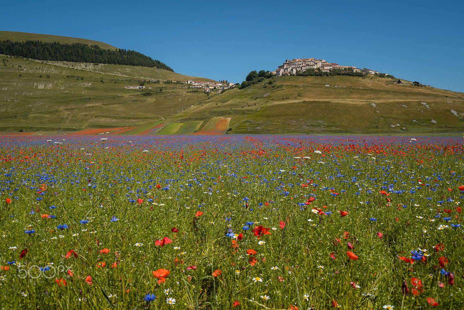 Sony a7S + Sony Vario-Tessar T* FE 16-35mm F4 ZA OSS sample photo. Last photo of castelluccio di norcia photography