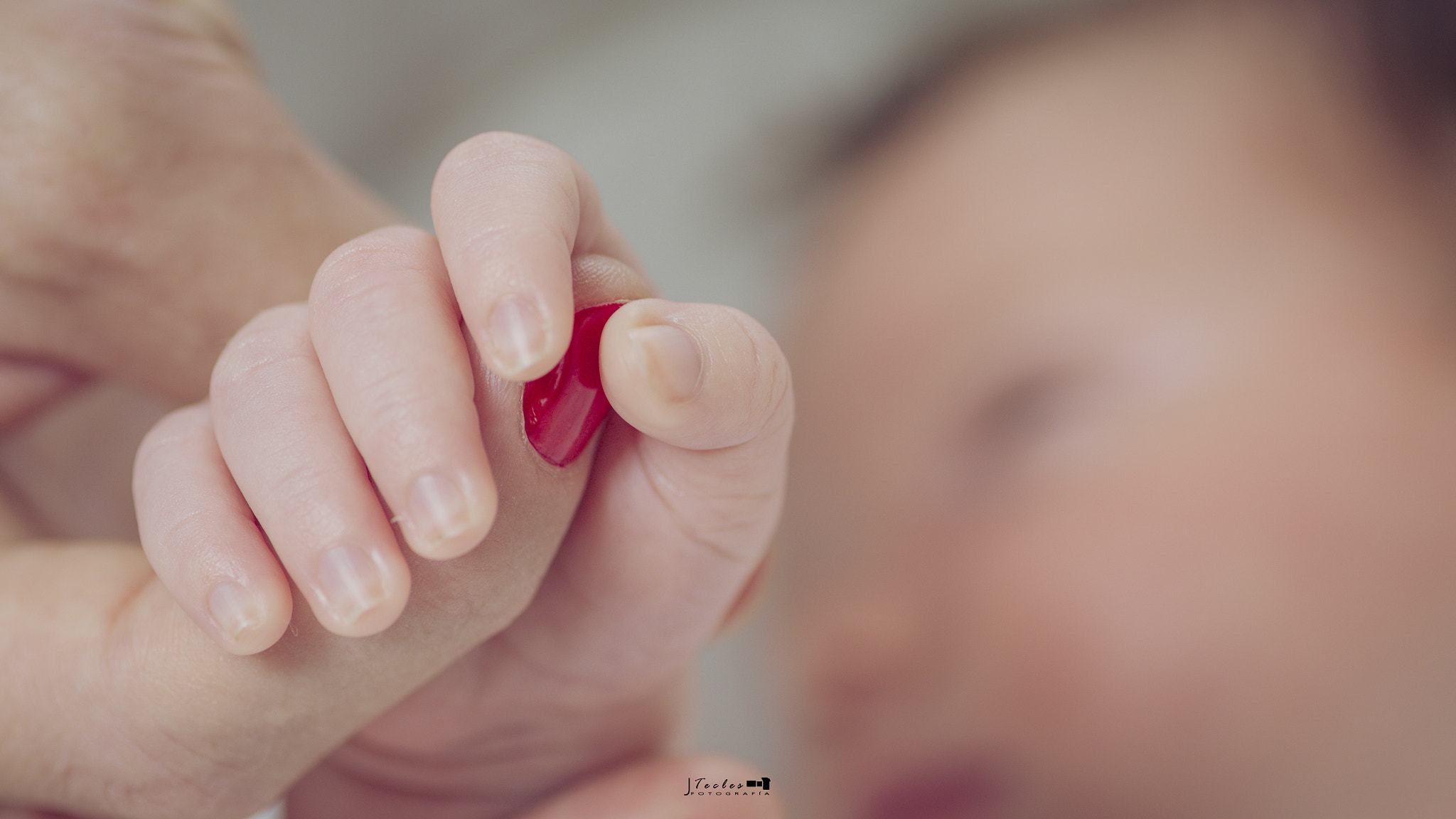 Canon EOS 6D + Tamron SP AF 90mm F2.8 Di Macro sample photo. Guille. photography