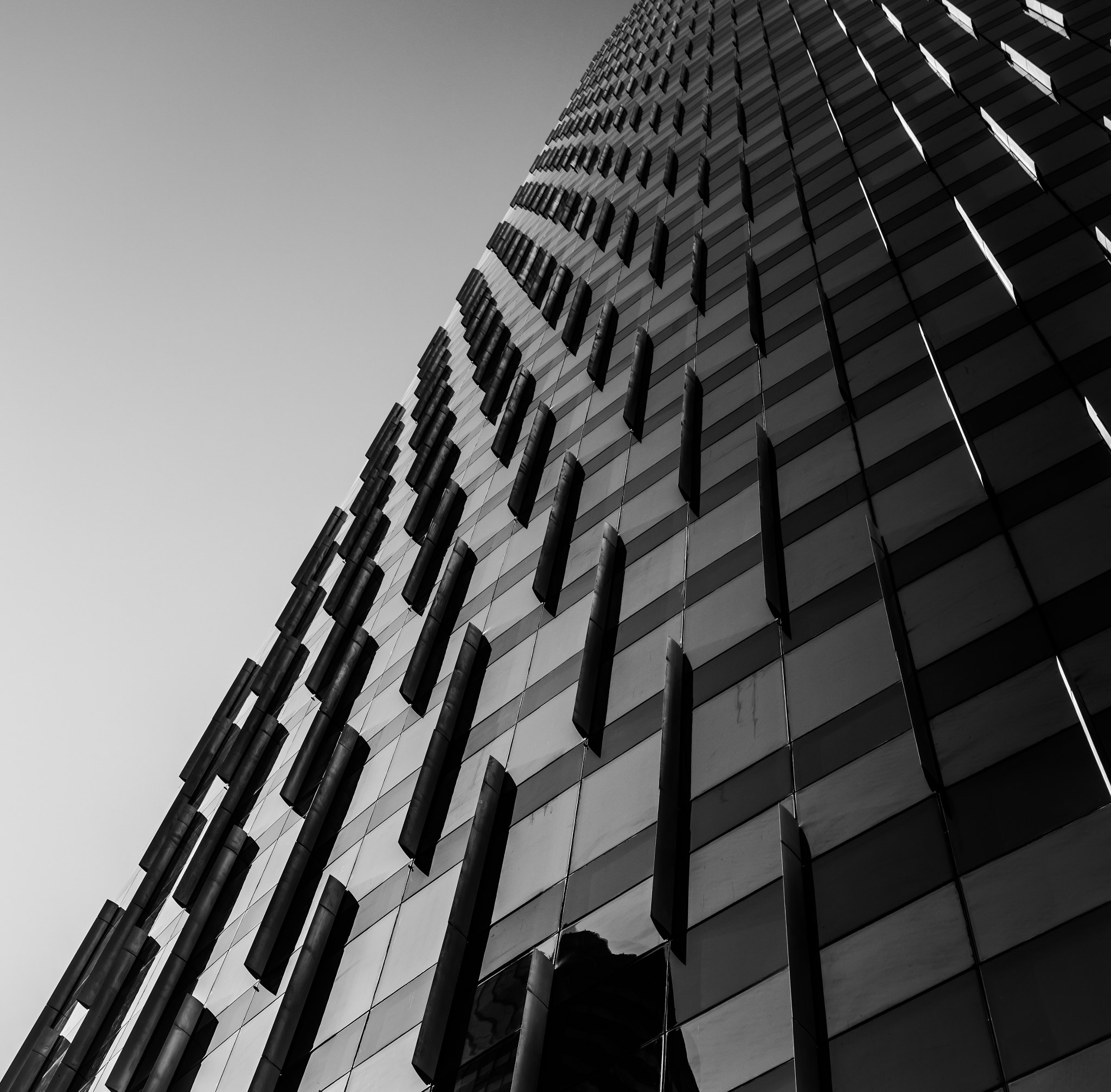 Canon EOS 5DS R + Canon EF 17-40mm F4L USM sample photo. Light photography