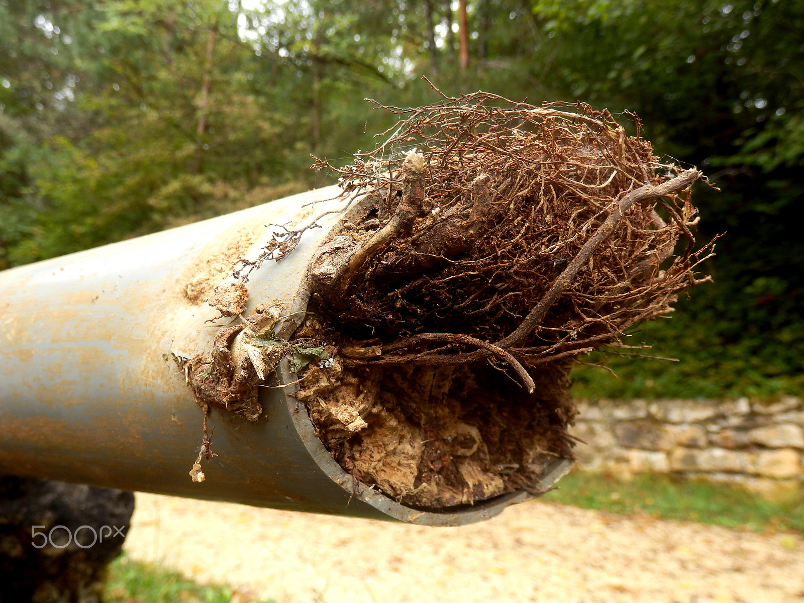 Olympus SZ-31MR sample photo. Blocked drainage pipe photography