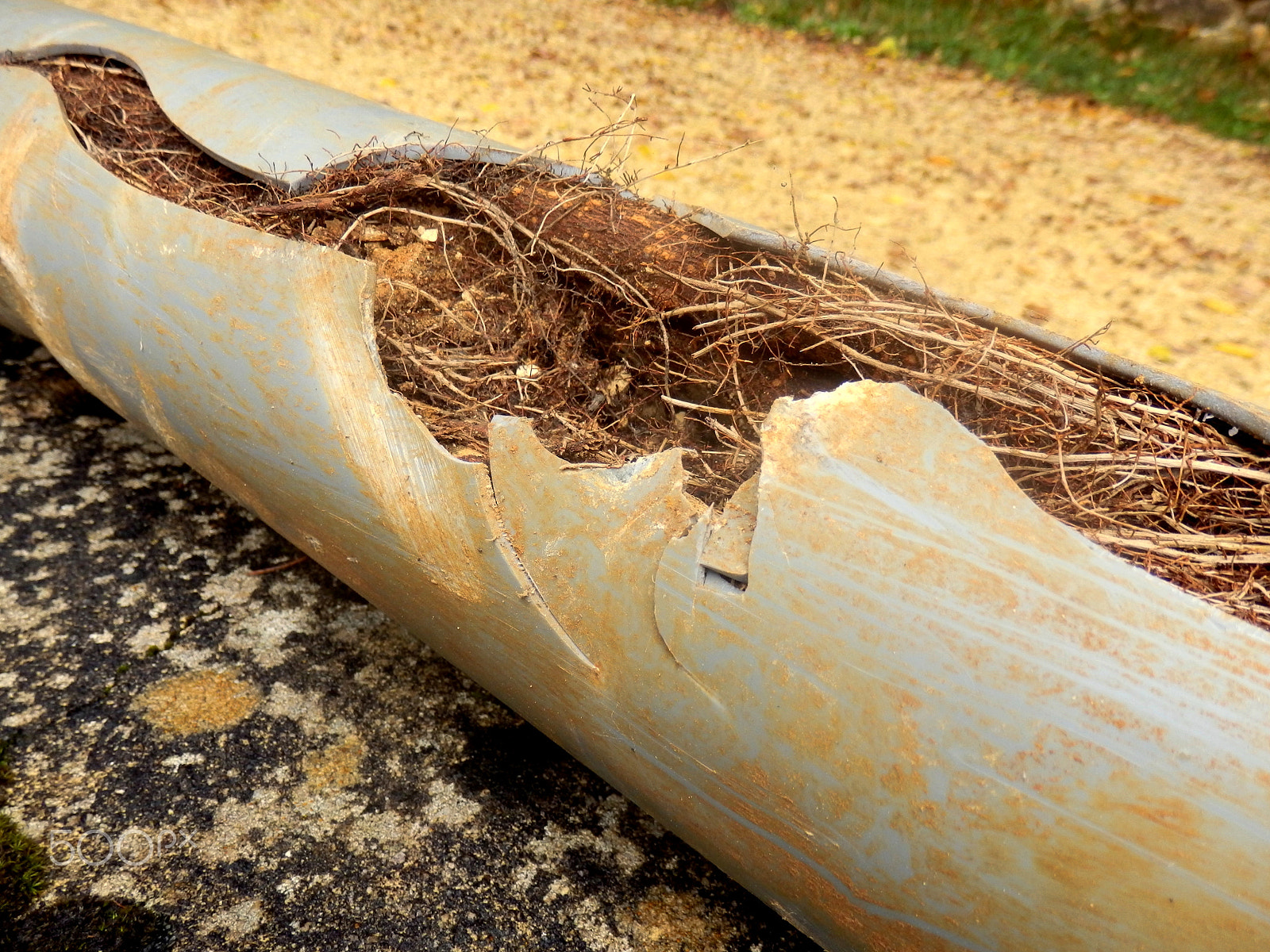 Olympus SZ-31MR sample photo. Blocked drainage pipe photography