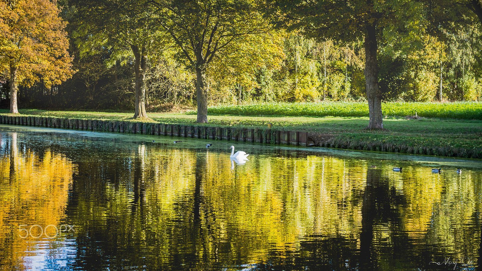 Olympus OM-D E-M10 II + Sigma 30mm F2.8 DN Art sample photo. Autumn photography