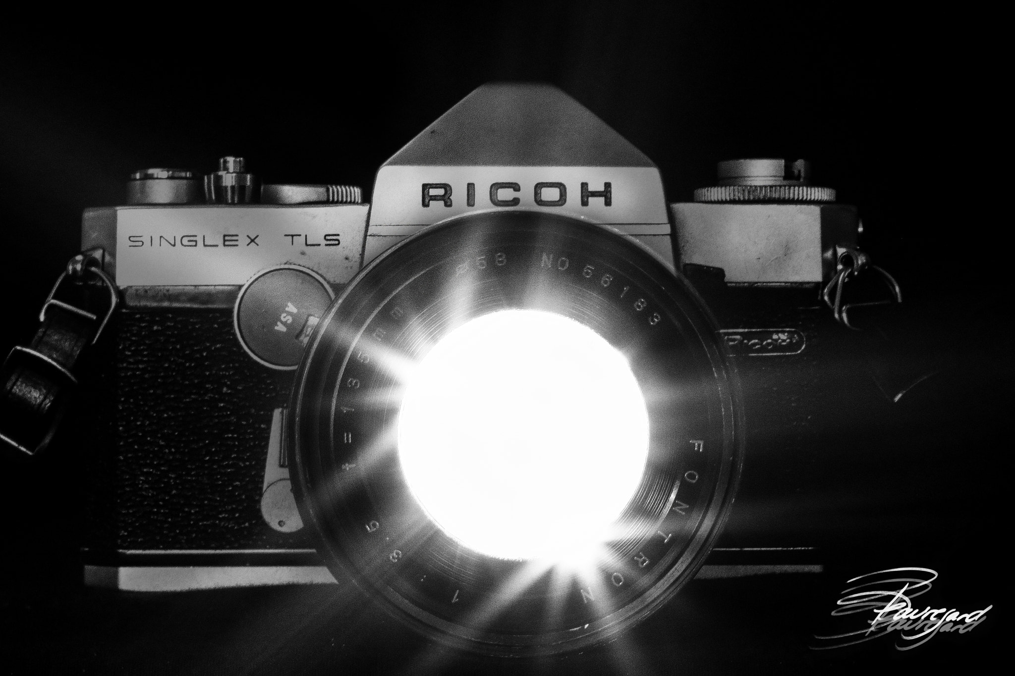 Canon EOS 760D (EOS Rebel T6s / EOS 8000D) + Canon EF 50mm F1.8 II sample photo