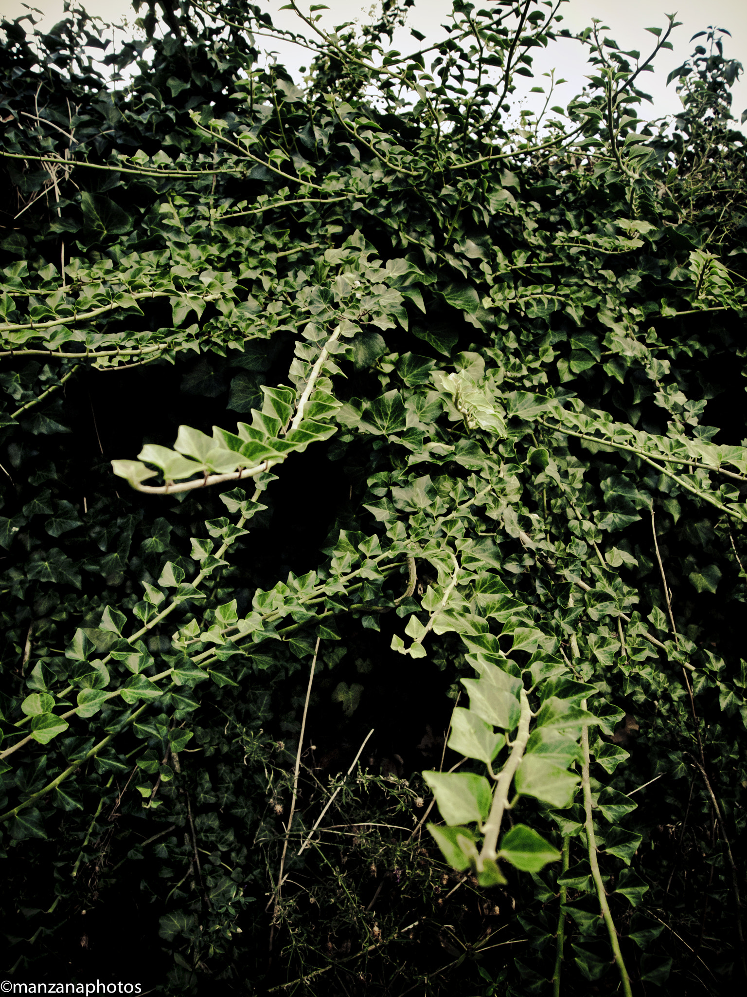 Olympus PEN E-P1 sample photo. Five minute walking photography