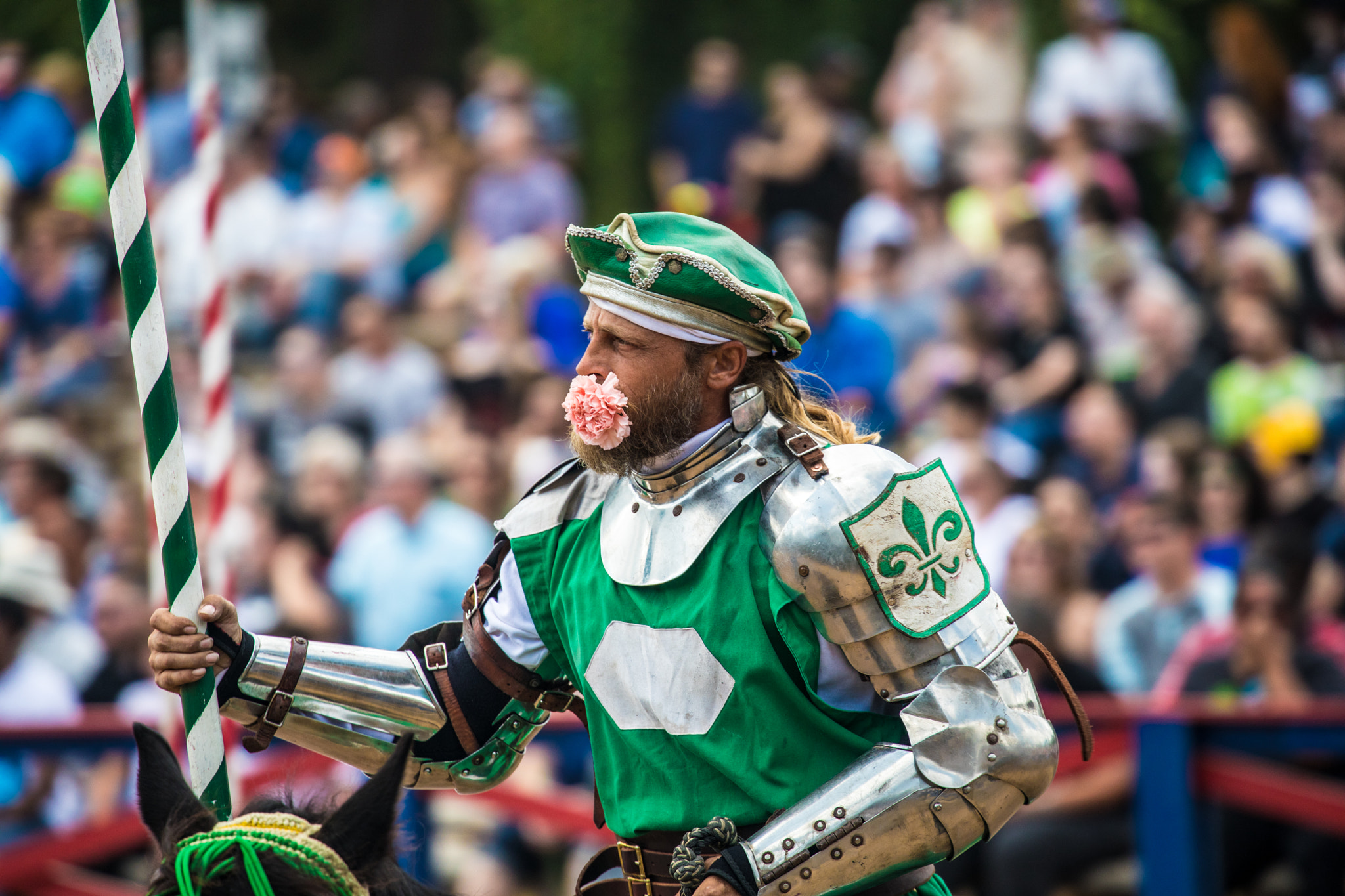 Canon EF 70-300mm F4-5.6L IS USM sample photo. Knight of the rose photography