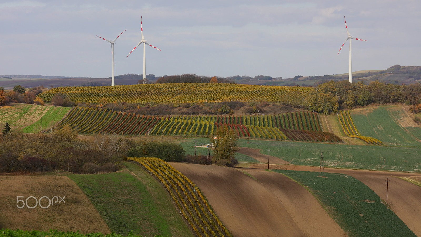 Canon EOS 5DS sample photo. Wind-wheels photography