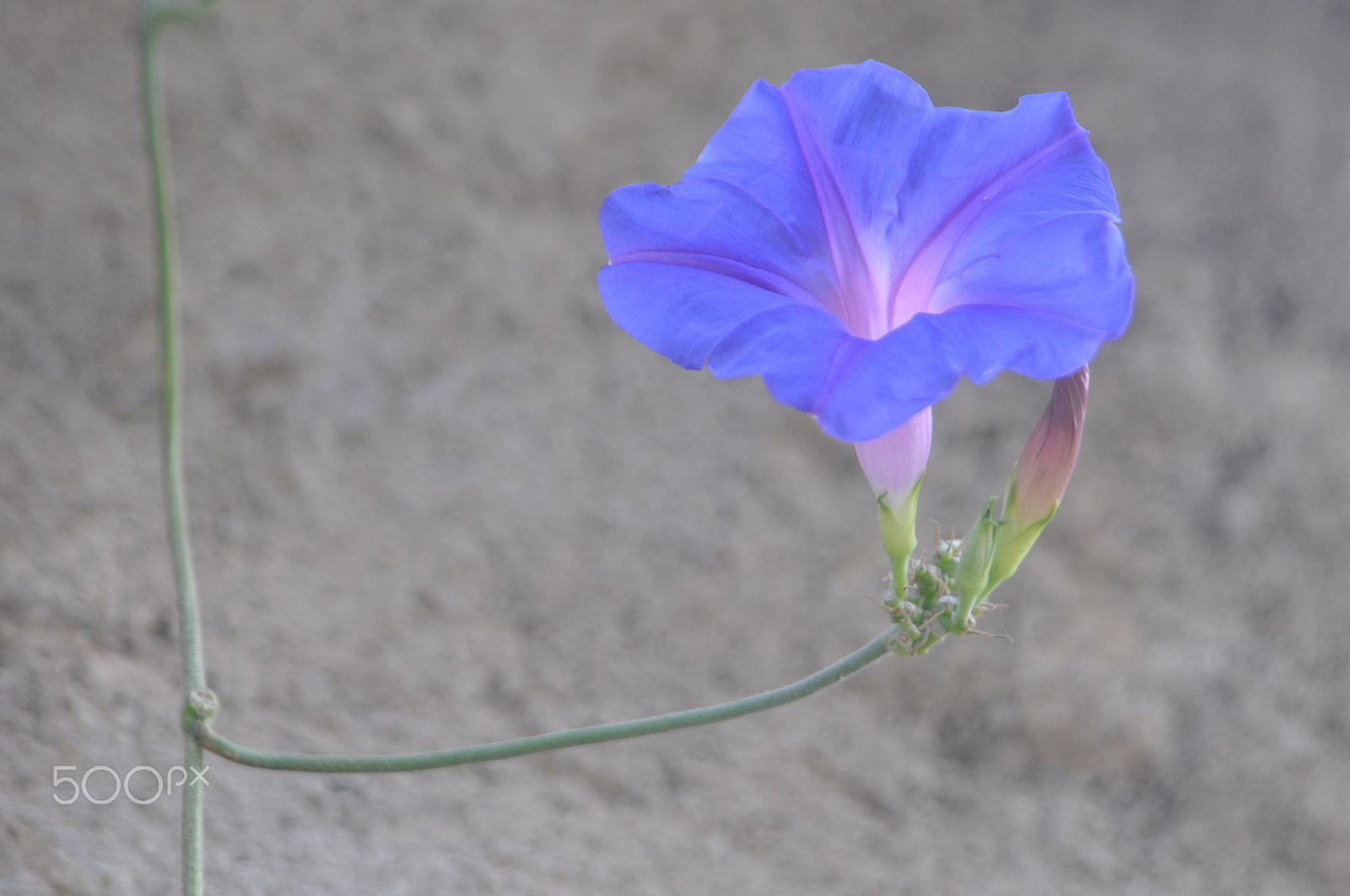 AF Zoom-Nikkor 24-120mm f/3.5-5.6D IF sample photo. Other nice one photography