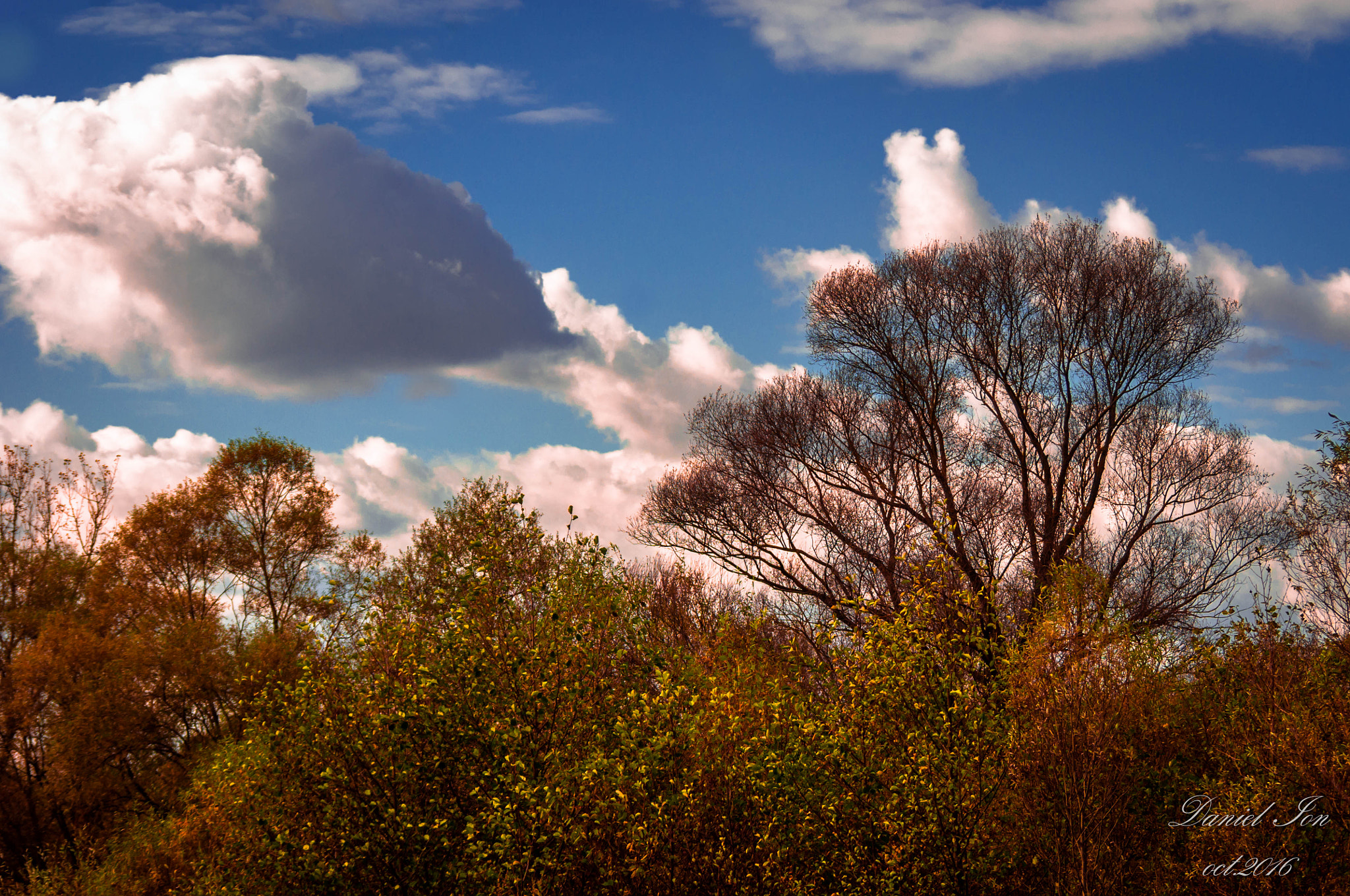 Pentax K-x sample photo. Autumn photography