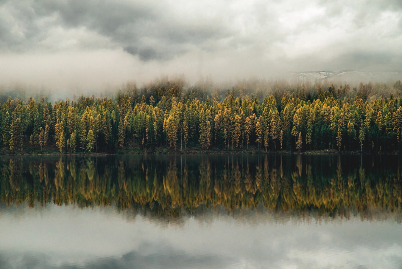 Sony a7S II + Sony 70-400mm F4-5.6 G SSM sample photo. Morning montana fog photography