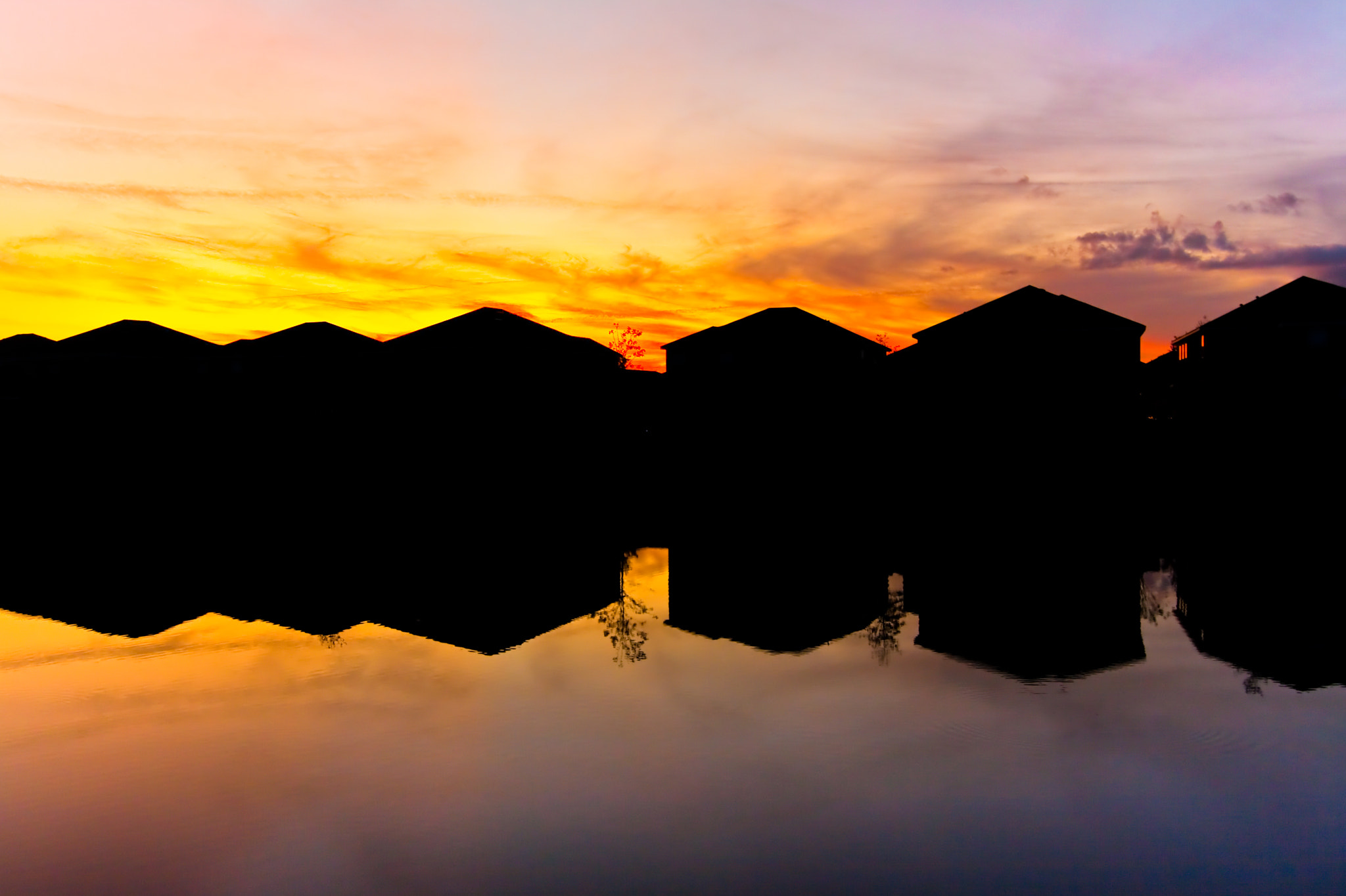 Tokina AT-X Pro 12-24mm F4 (IF) DX sample photo. Fiery red @ florida photography