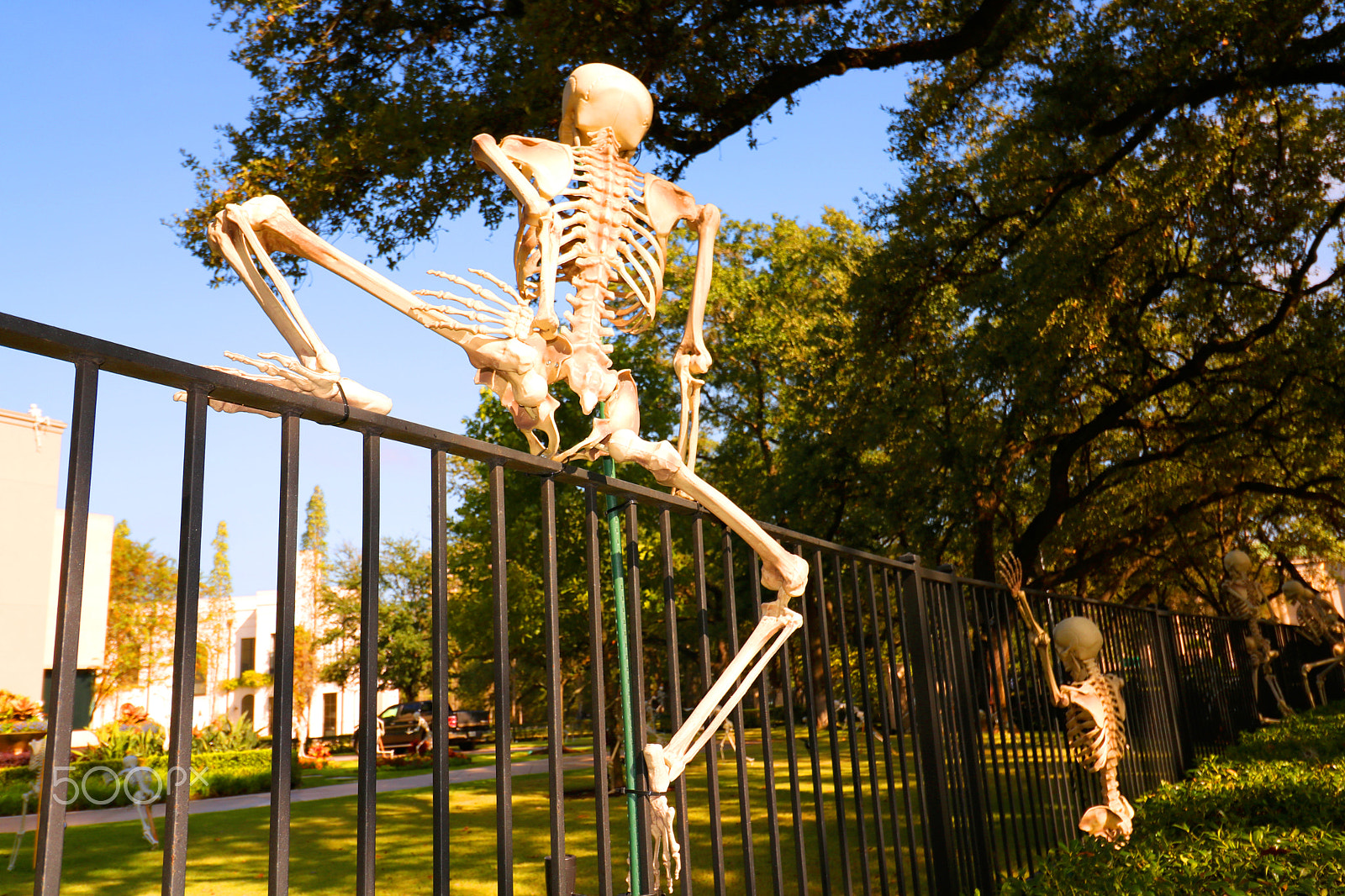 Canon EOS 750D (EOS Rebel T6i / EOS Kiss X8i) sample photo. Happy halloween! 9798 photography