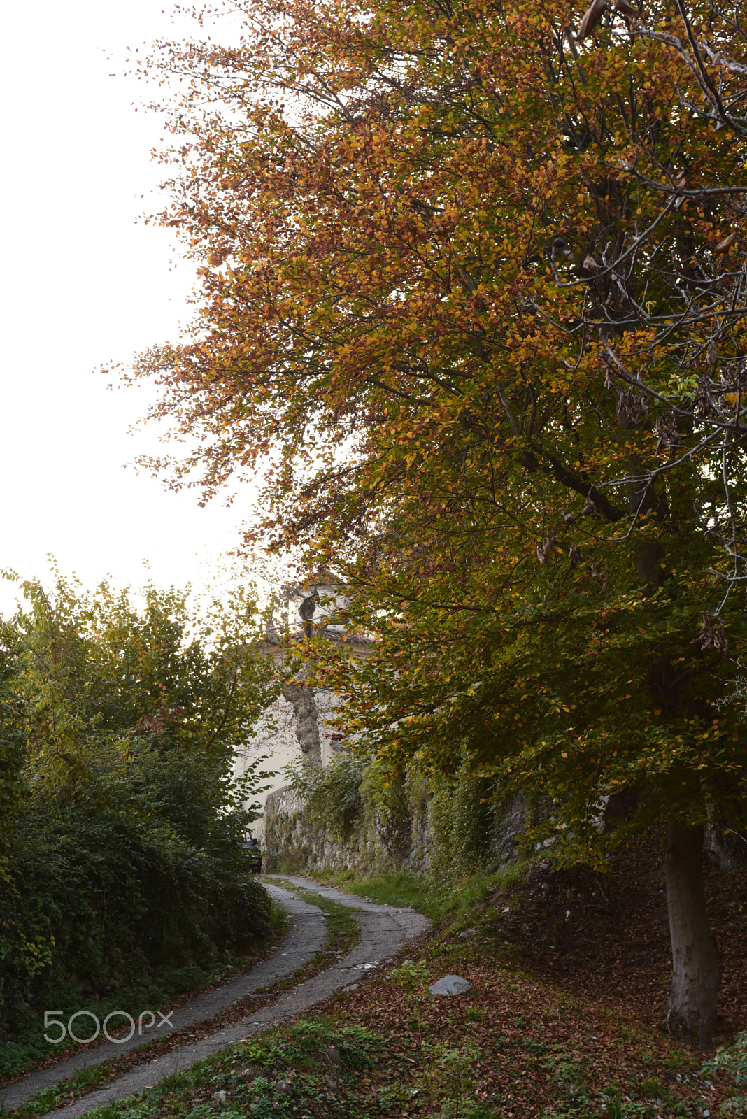Nikon AF-S Nikkor 28-70mm F2.8 ED-IF sample photo. Autumn3 photography