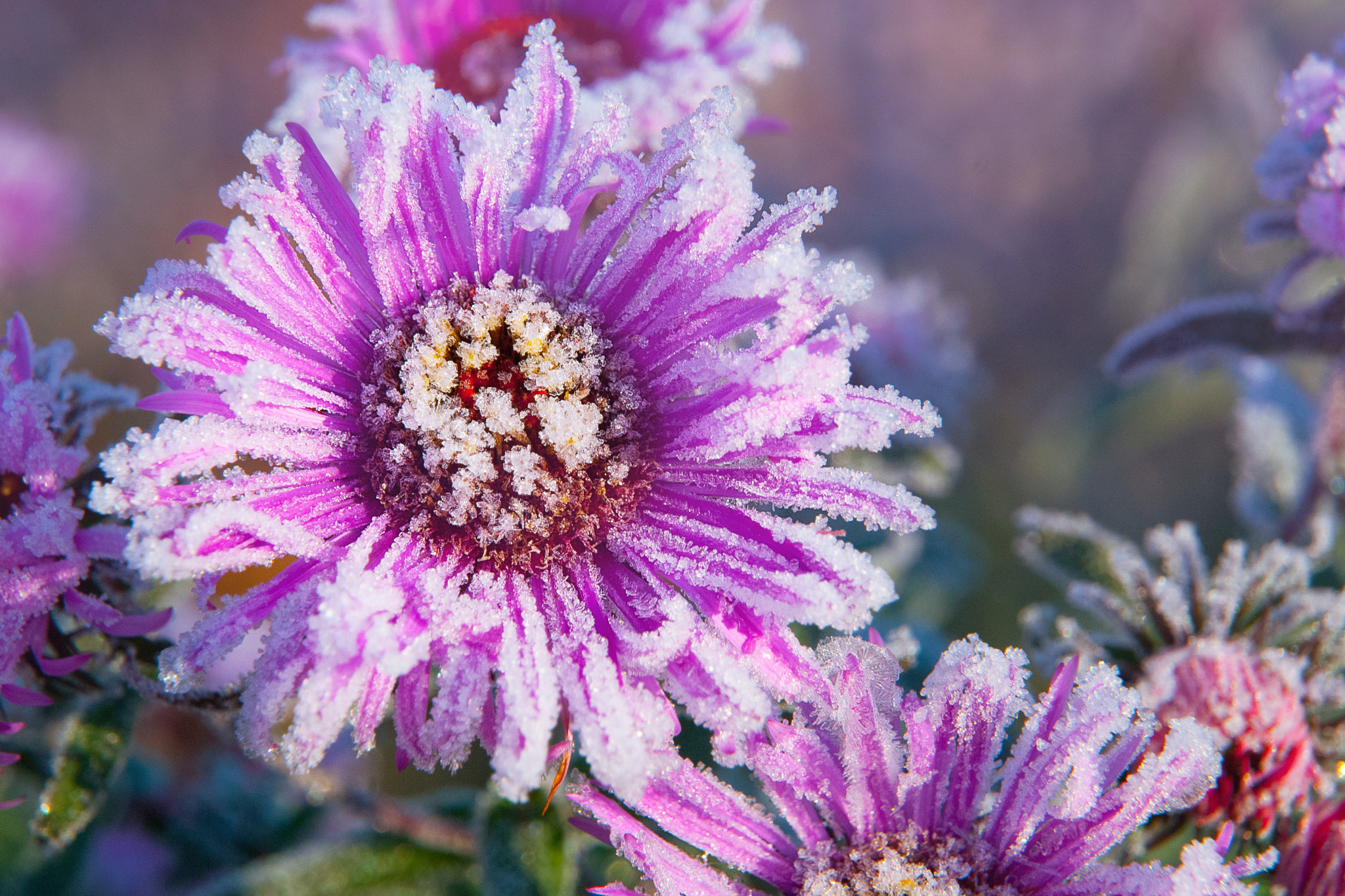 Nikon D200 sample photo. Nature shot photography