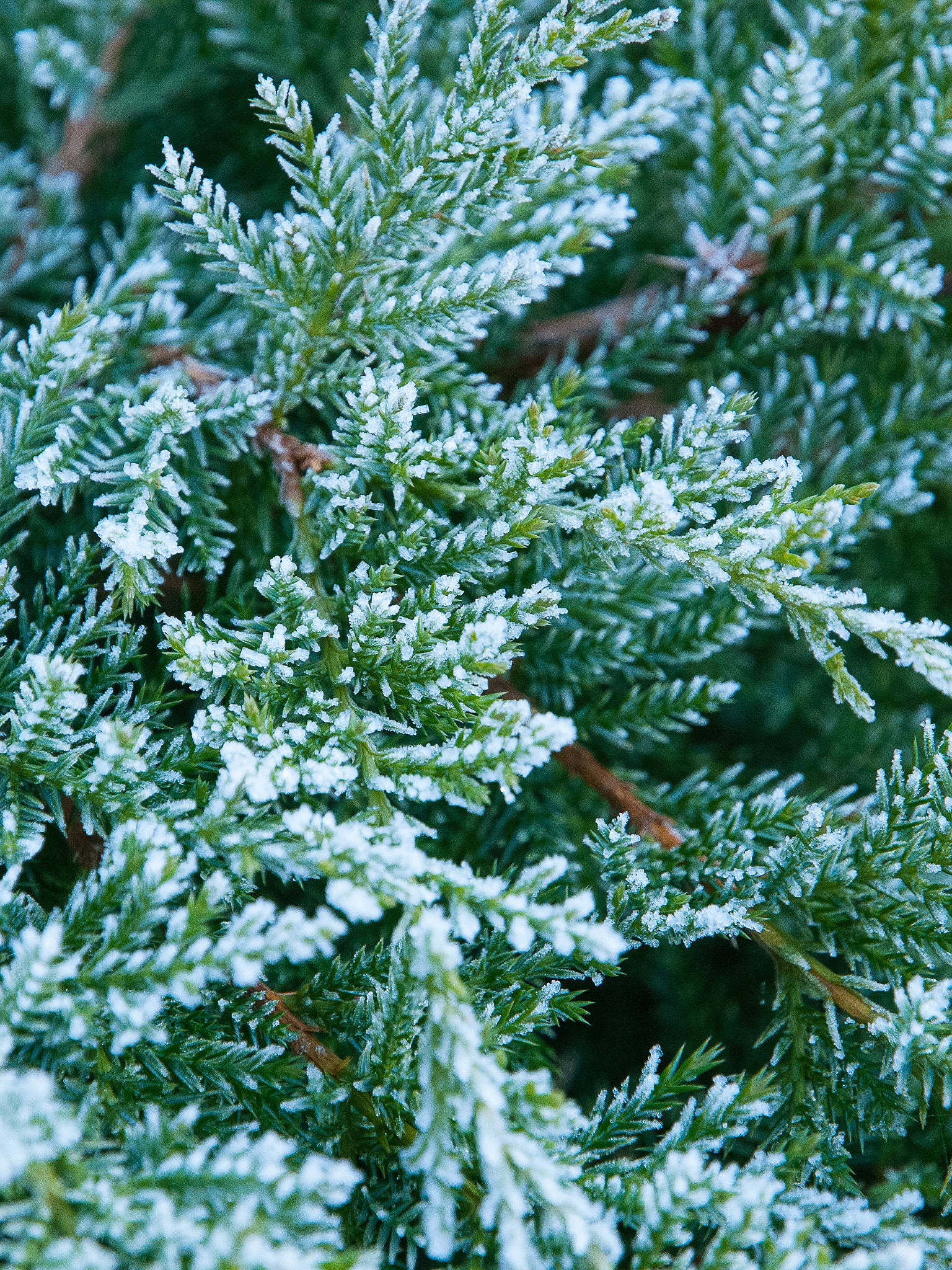 Nikon D200 sample photo. Nature shot photography