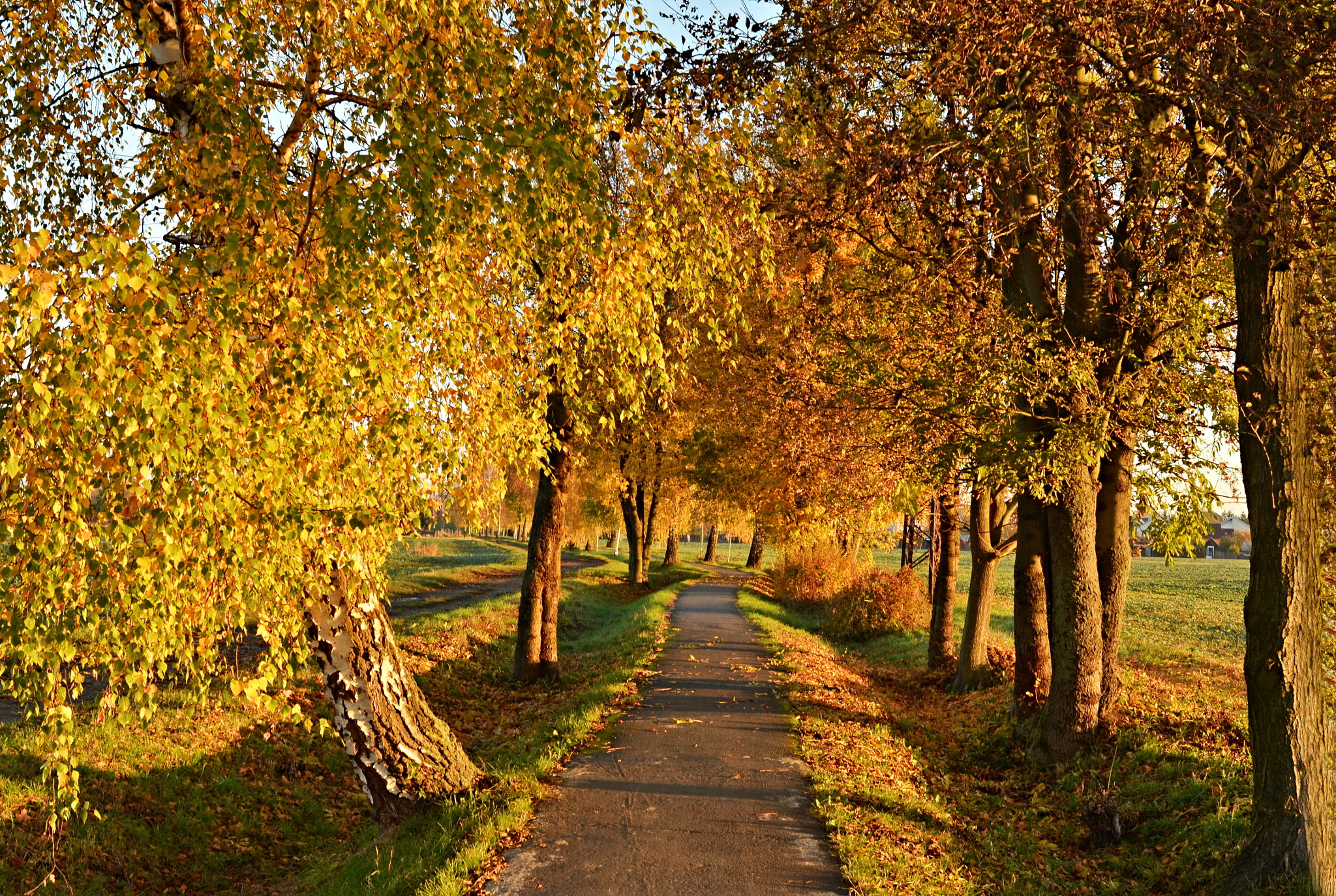 Nikon D5100 + Nikon AF-S Nikkor 28mm F1.8G sample photo. Podzimní photography