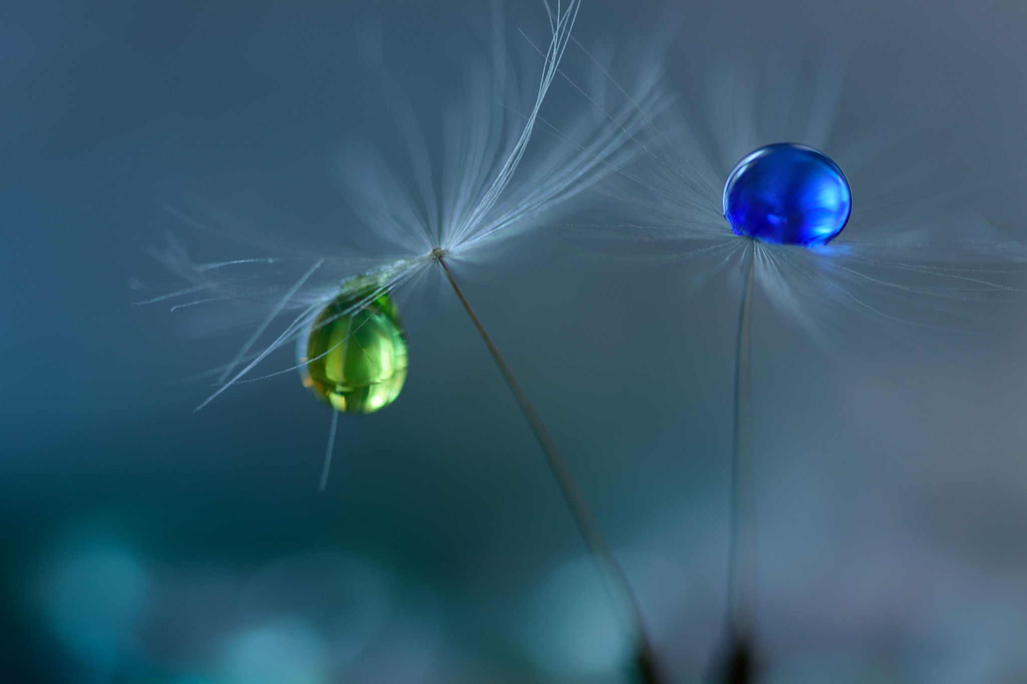 Sigma 105mm F2.8 EX DG OS HSM sample photo. Precariousness photography