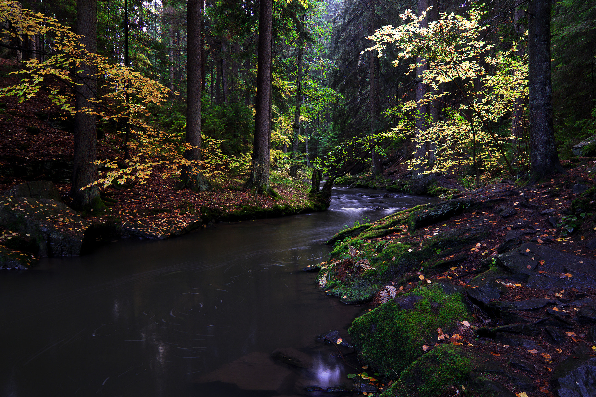 Tokina AT-X Pro 12-24mm F4 (IF) DX sample photo. Img photography
