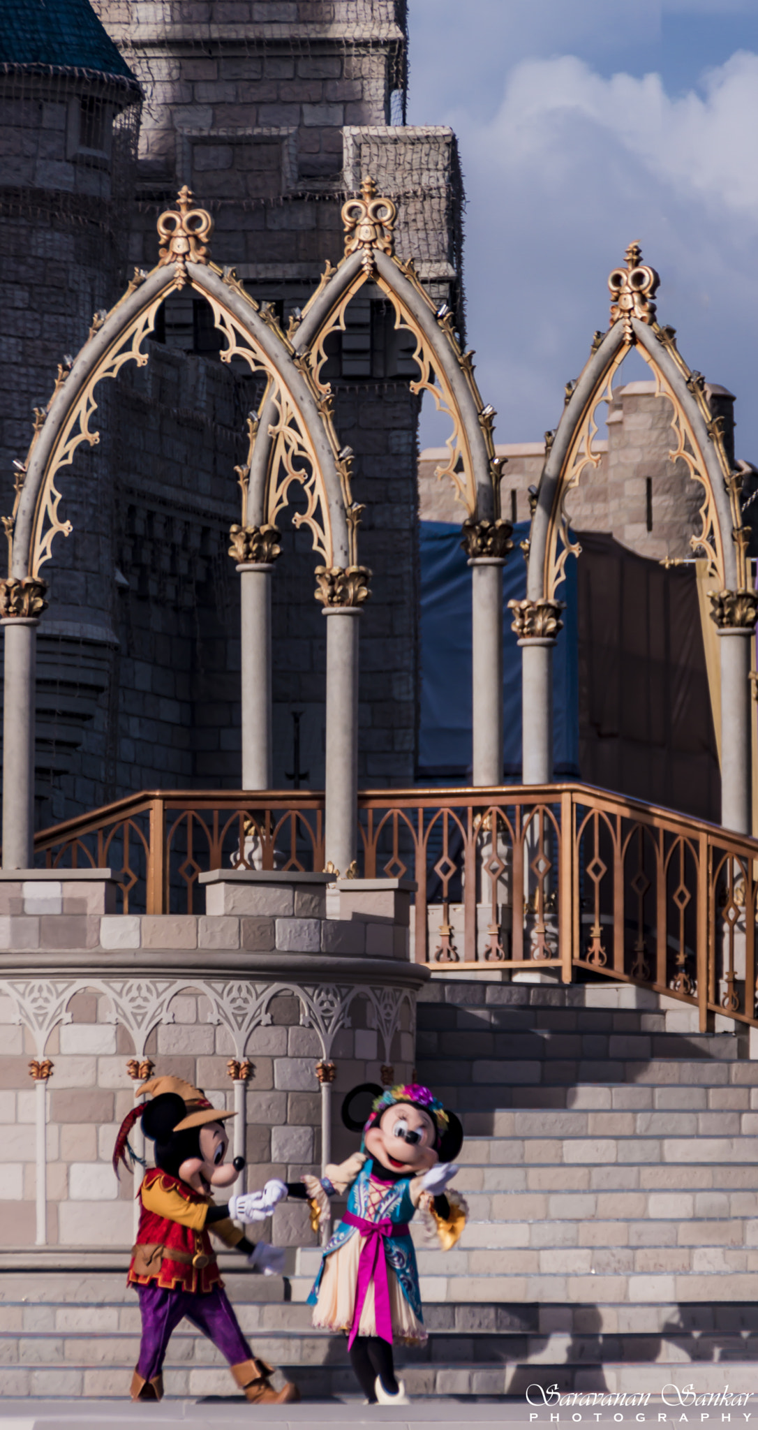 Sony SLT-A65 (SLT-A65V) sample photo. Mickey & minnie photography