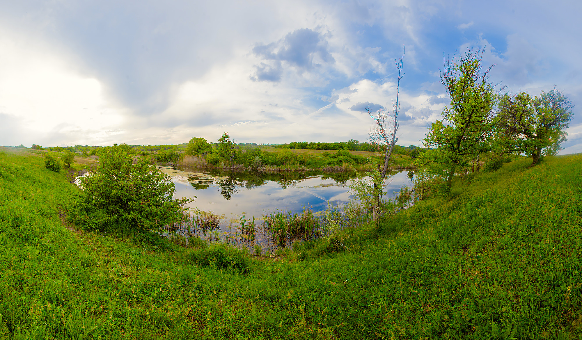 Canon EF 20mm F2.8 USM sample photo. Spring landscape photography