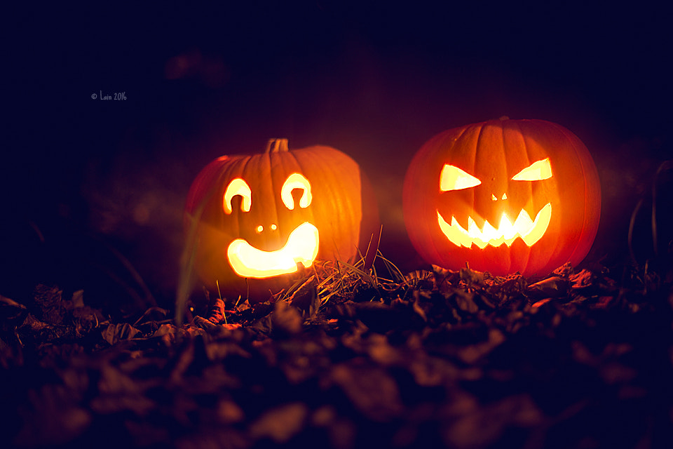 Canon EF 50mm F1.4 USM sample photo. Happy halloween photography