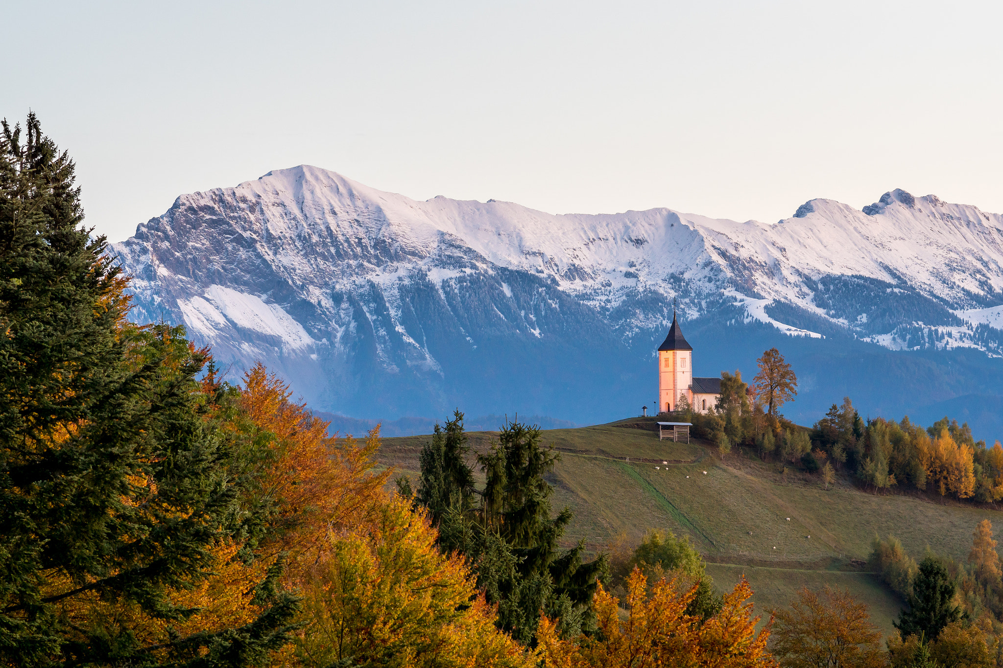 Minolta AF 80-200mm F2.8 HS-APO G sample photo. Autumn morning on jamnik photography