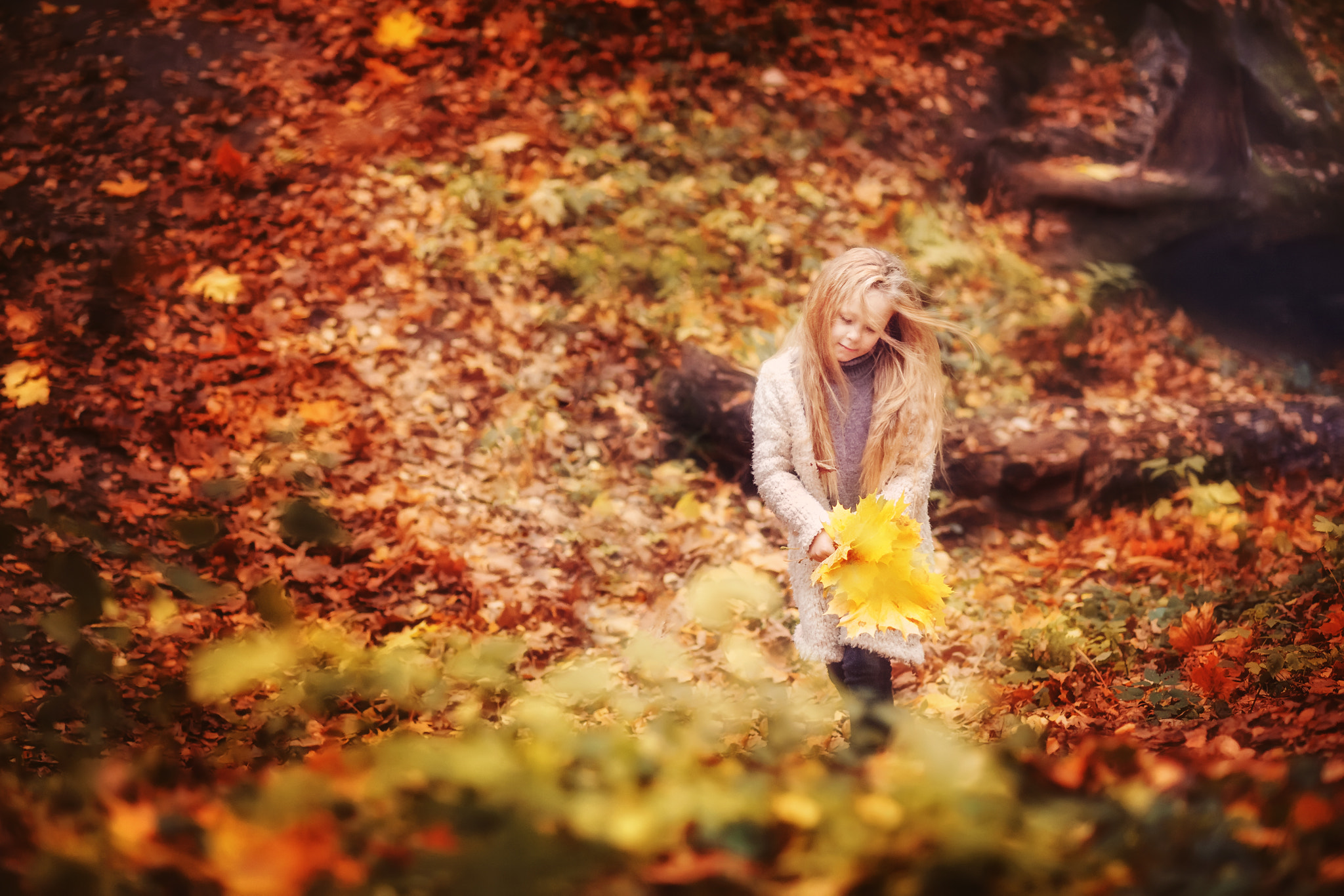 Nikon AF Nikkor 105mm F2D DC sample photo. Dreary autumn photography