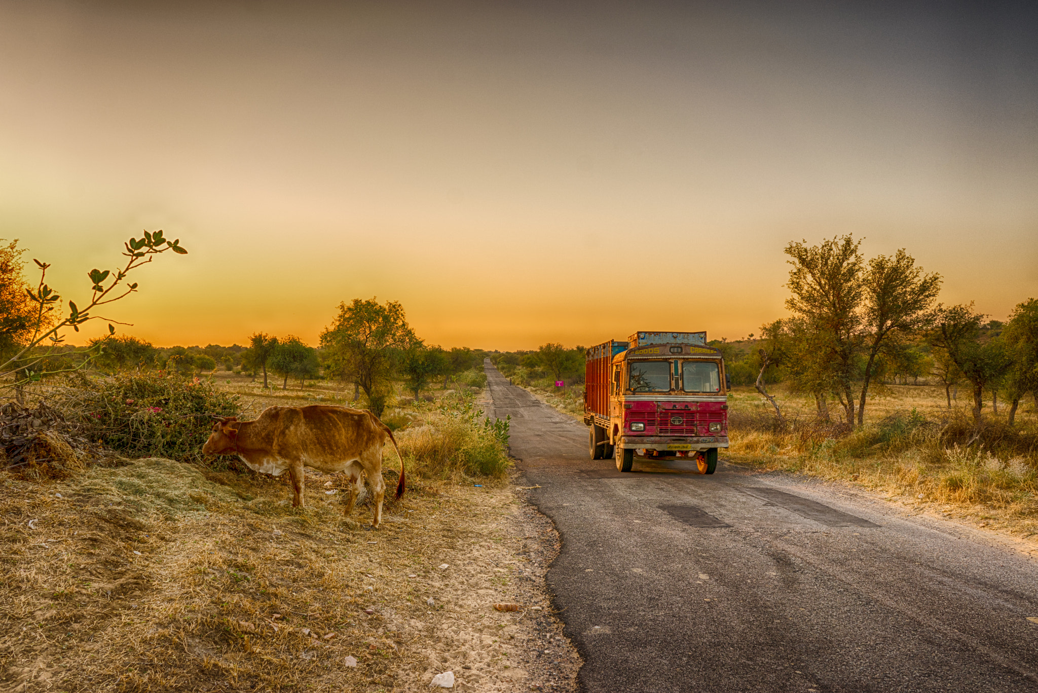 Sony a7R + Sony FE 28mm F2 sample photo. Morning in india photography