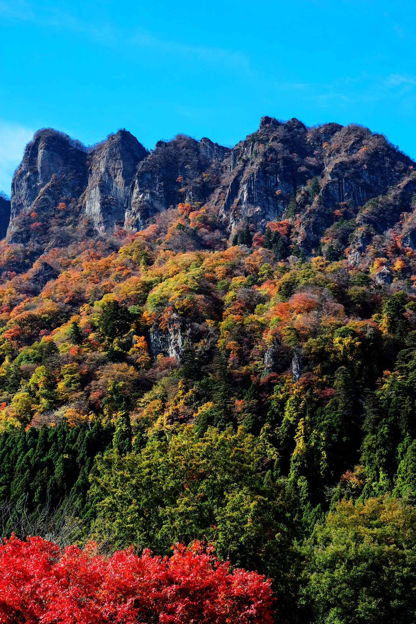 Fujifilm X-M1 + Fujifilm XF 35mm F1.4 R sample photo. Color of mount myogi photography