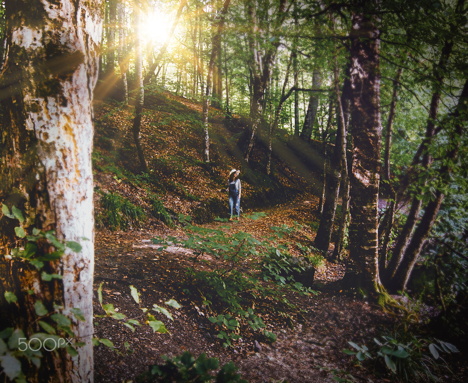 Canon EOS 650D (EOS Rebel T4i / EOS Kiss X6i) sample photo. A woman in the forest photography