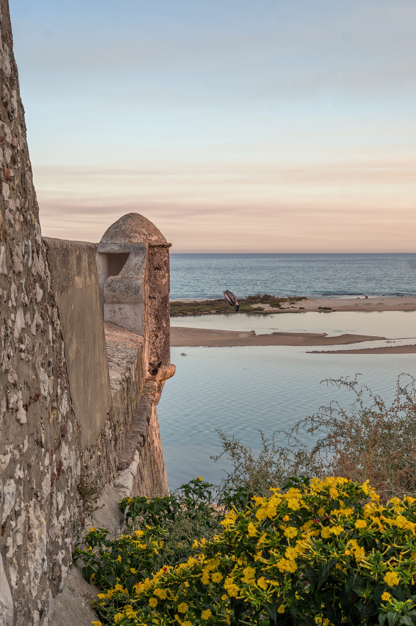 16-35mm F4 ZA OSS sample photo. Coast line photography